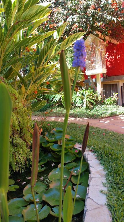 Pasion Tropical - Gay Only (adults Only) Playa del Águila