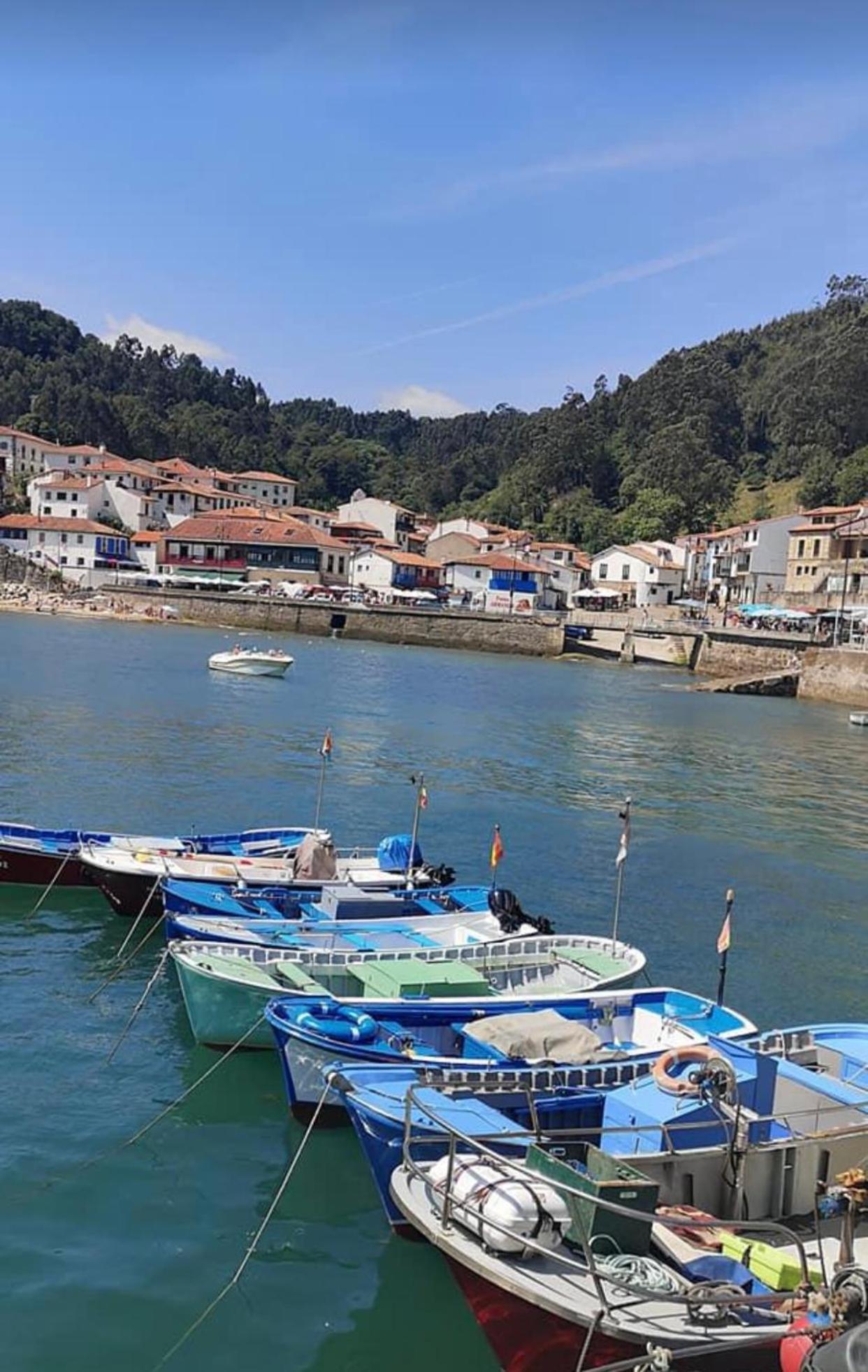 Turistico Nanielles Sella Playa - Vut 3050as Apartamento Ribadesella
