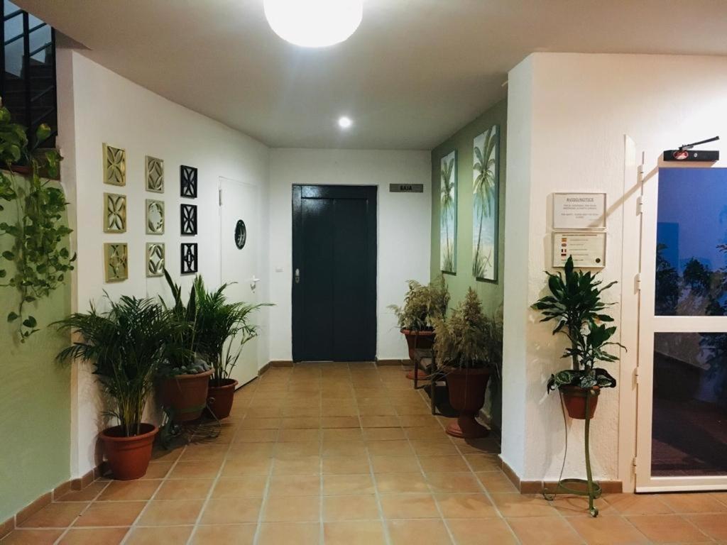 Apartment Playa Manilva
