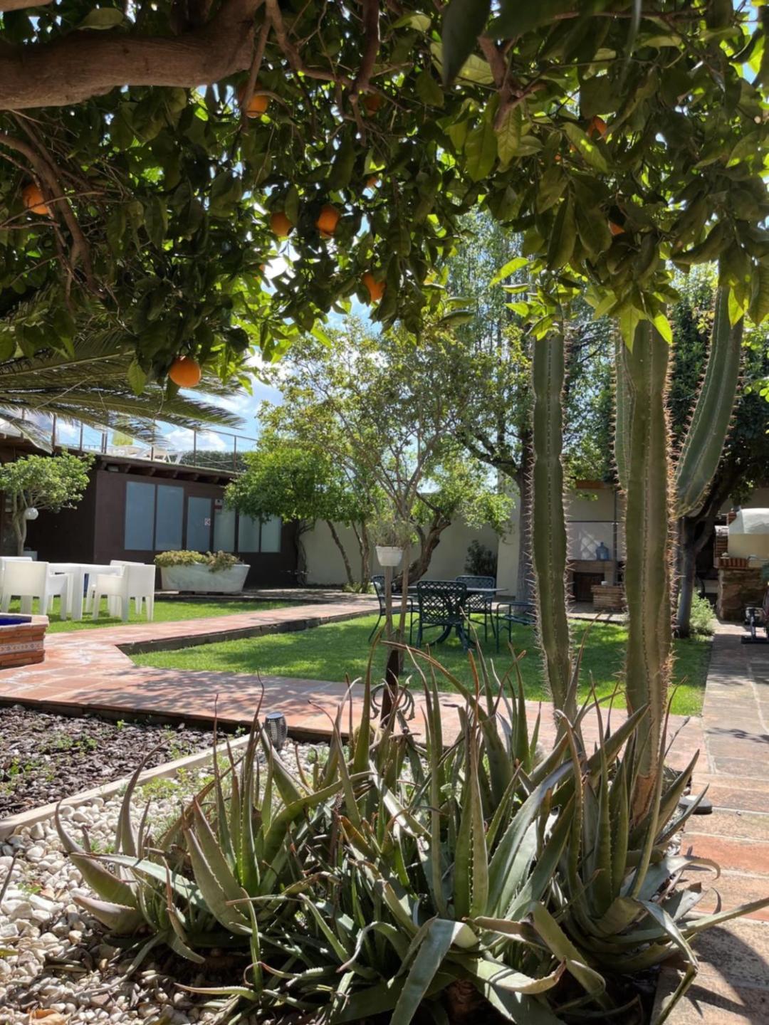 El Secanet Country house