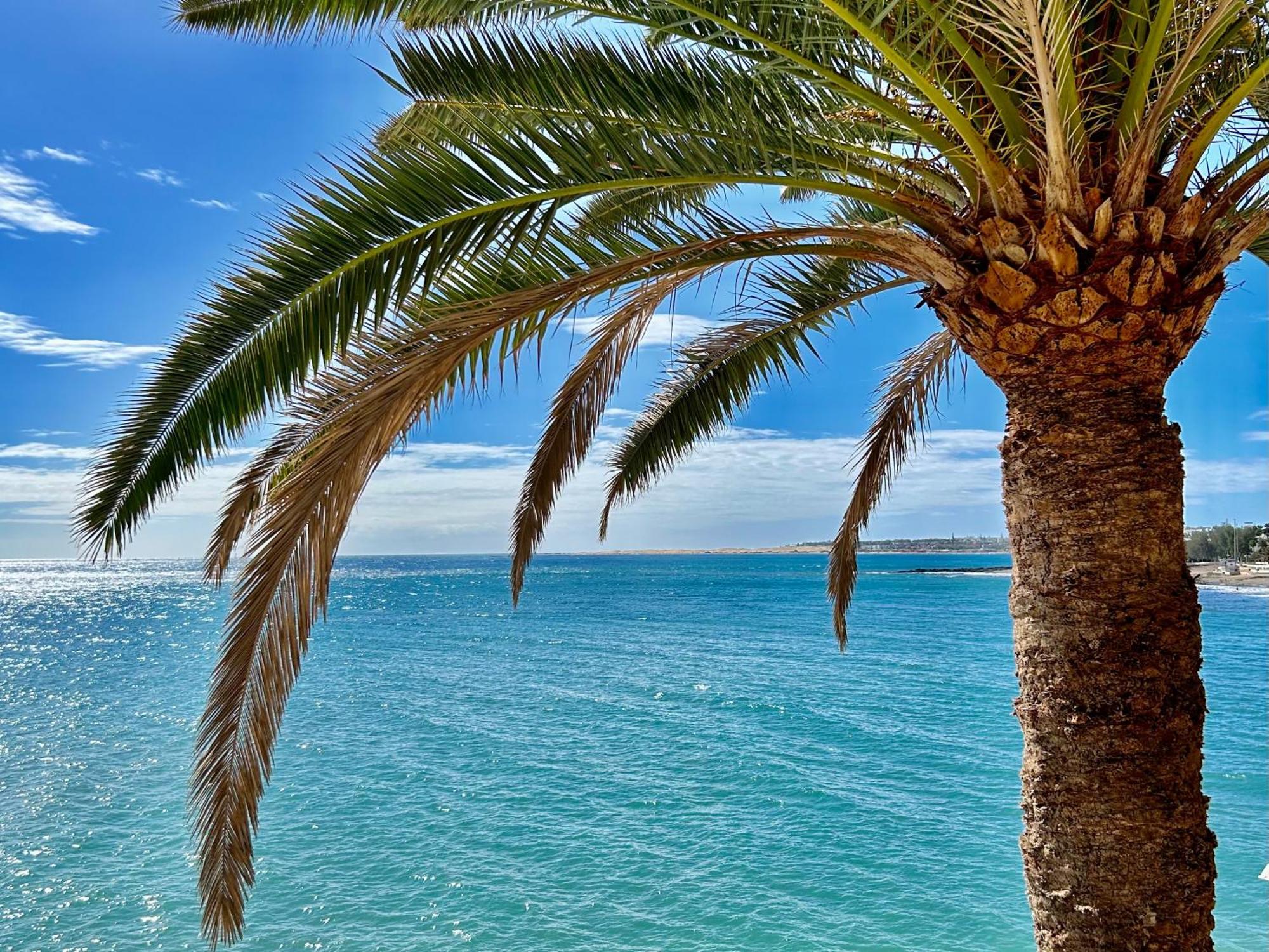 Sobre El Mar Con Vistas A Dunas De Maspalomas San Agustín