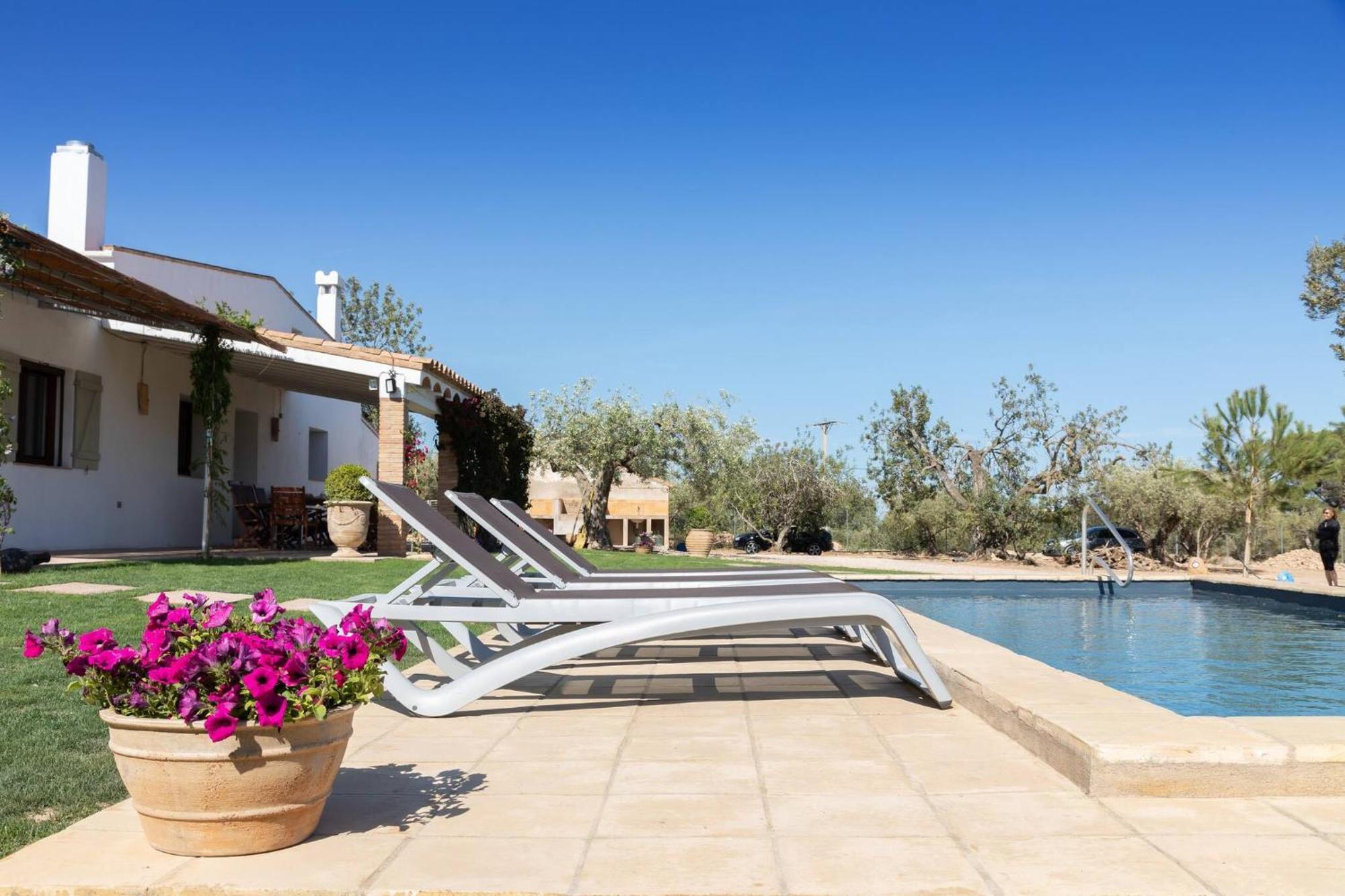 Santolina - En Con Piscina Privada, Jardín Y Barbacoa Chalet