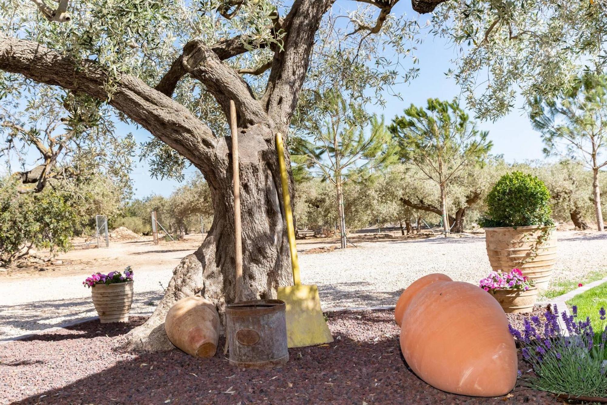 Santolina - En Con Piscina Privada, Jardín Y Barbacoa *