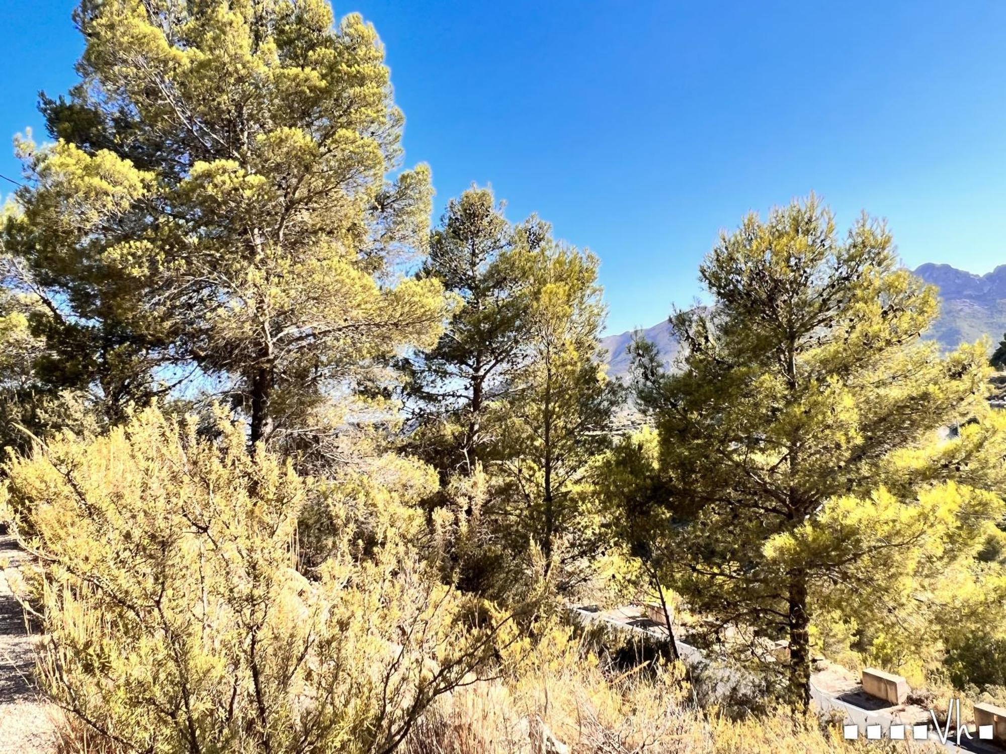 Vh Costablanca - Calima Benissa