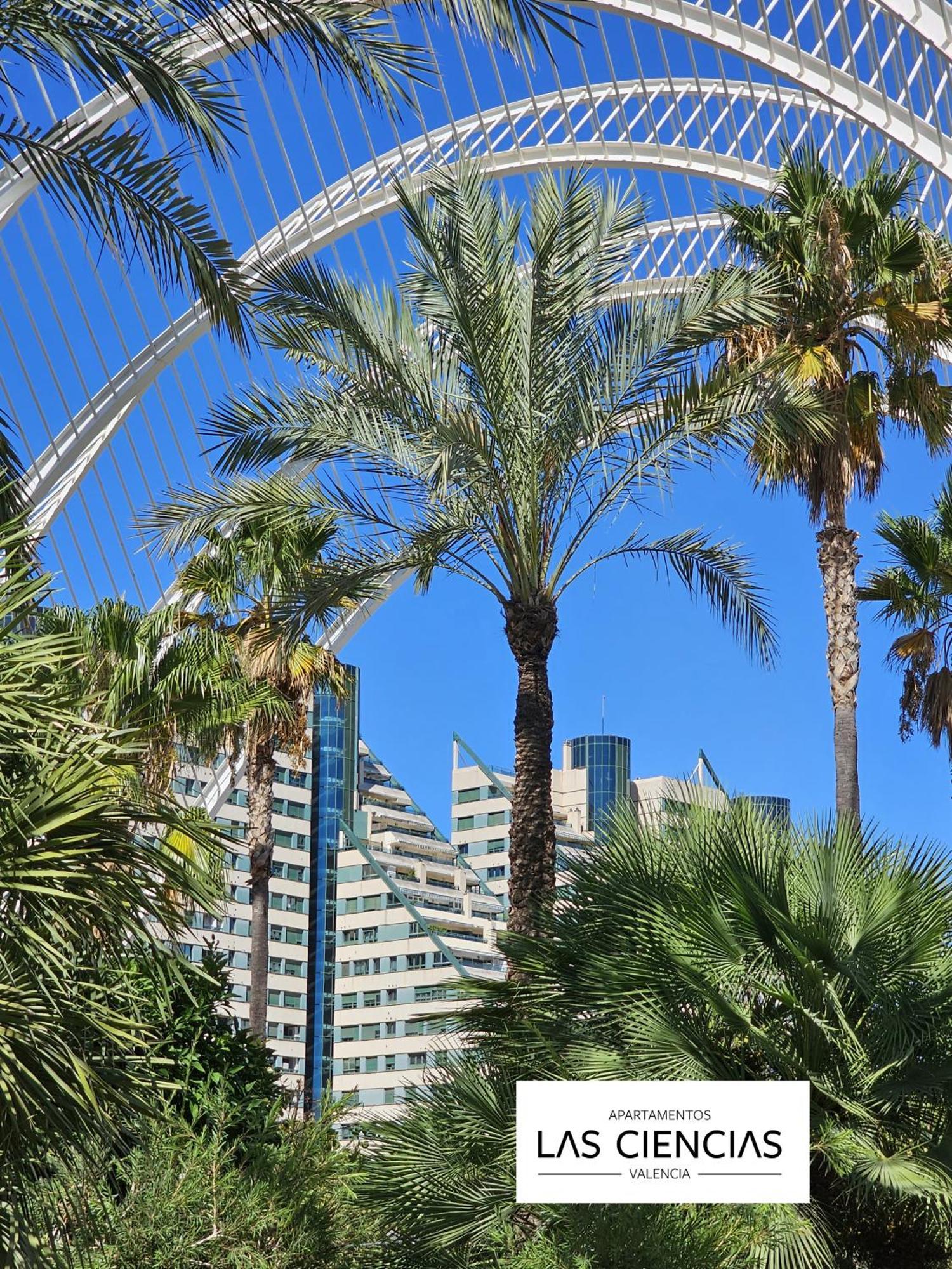 Ciencias D Apartamento Valencia