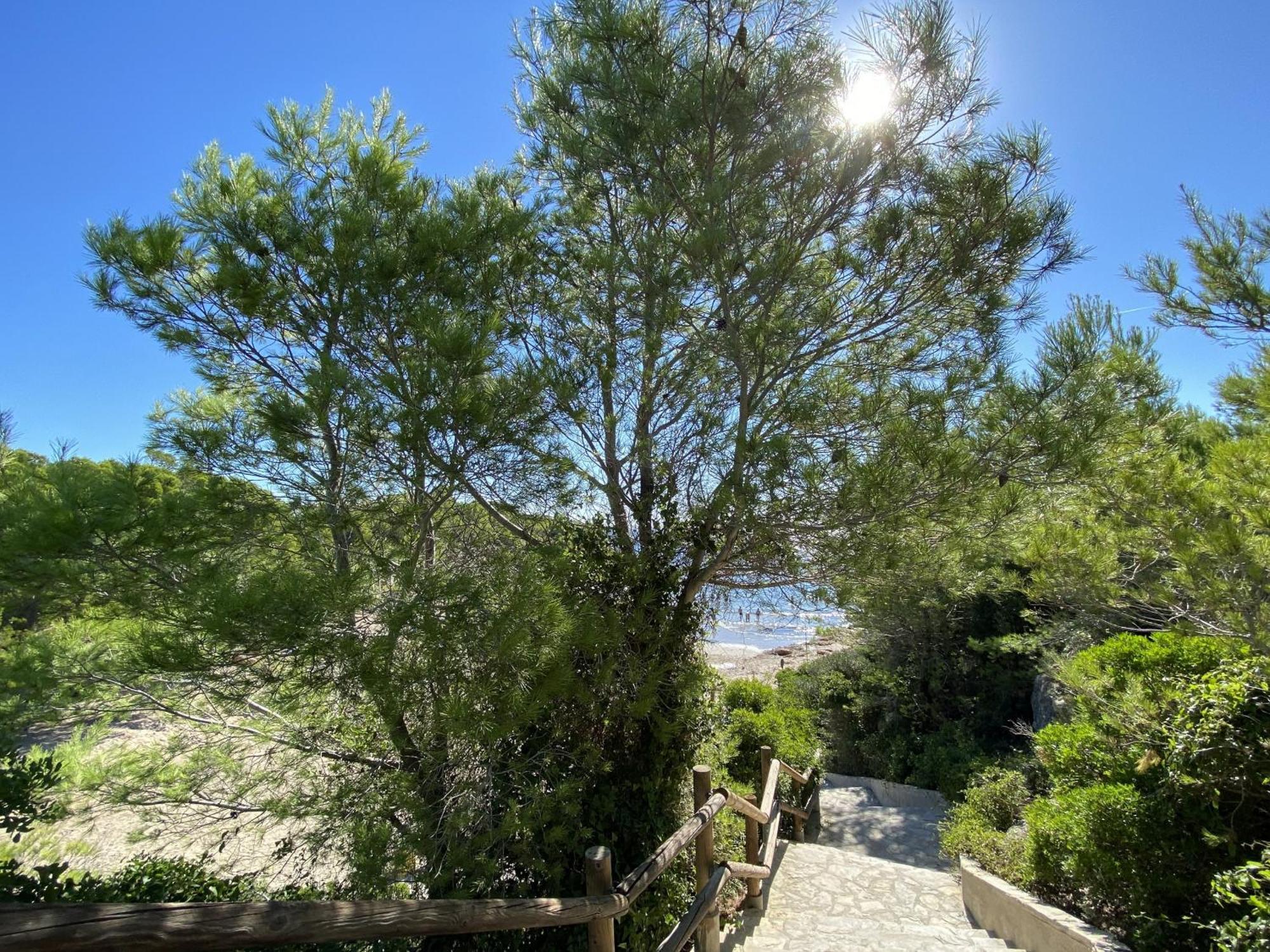 Avondale 3bedroom With Air-conditioning & Private Swimming Pool * L'Ametlla de Mar