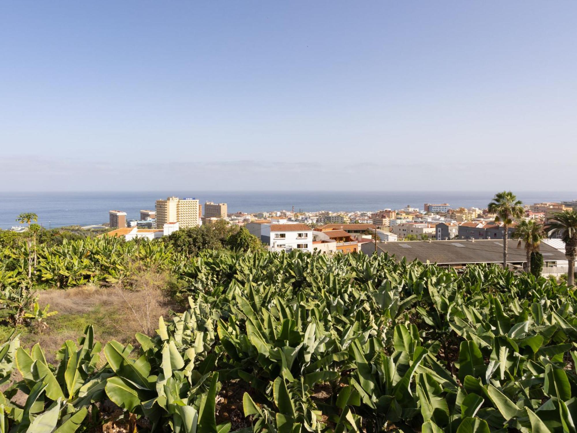 Сasa de vacaciones Barreto Puerto de la Cruz (Tenerife)