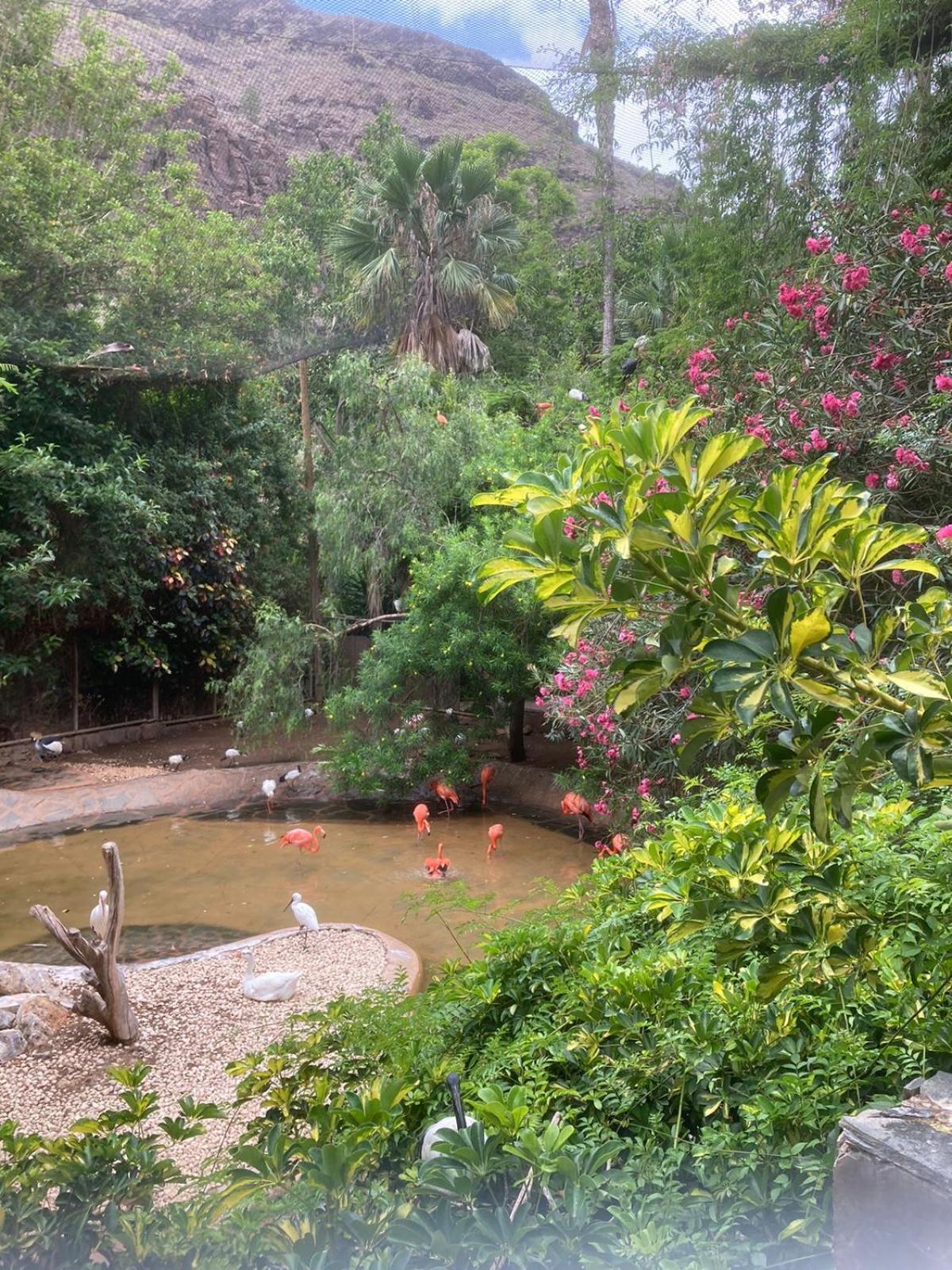 Apartamento Flamingos Nest Koka 1604 *