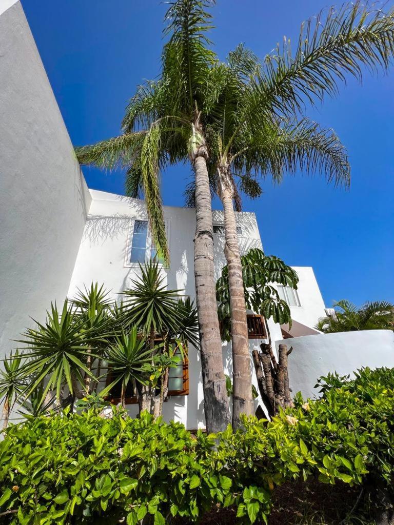 Malibu Grey Apartamento Costa Adeje (Tenerife)