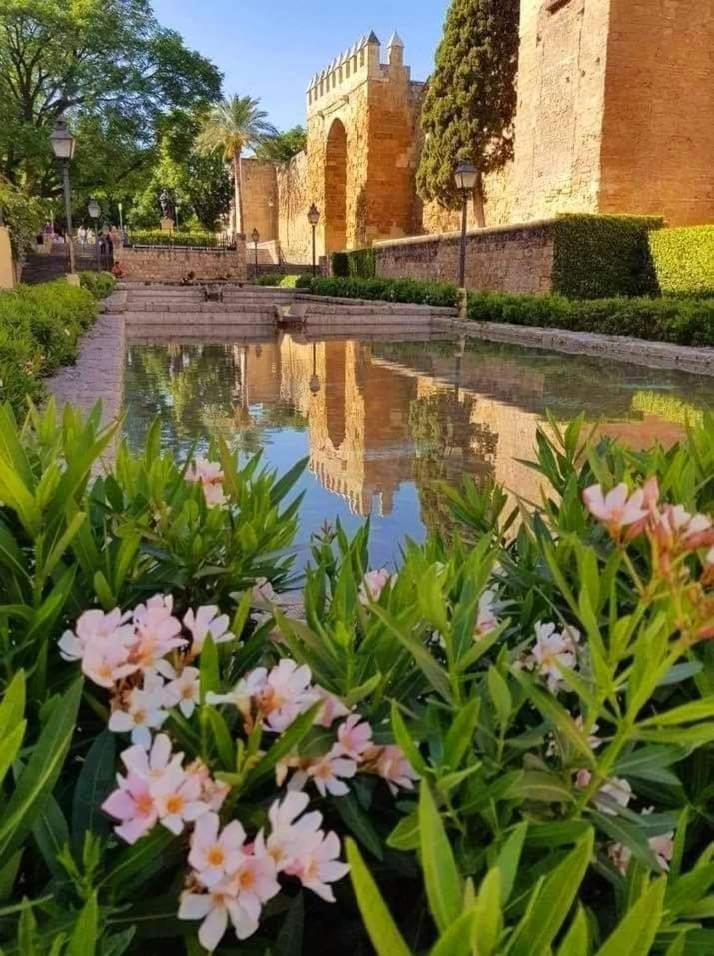La Marquesa Cordoba