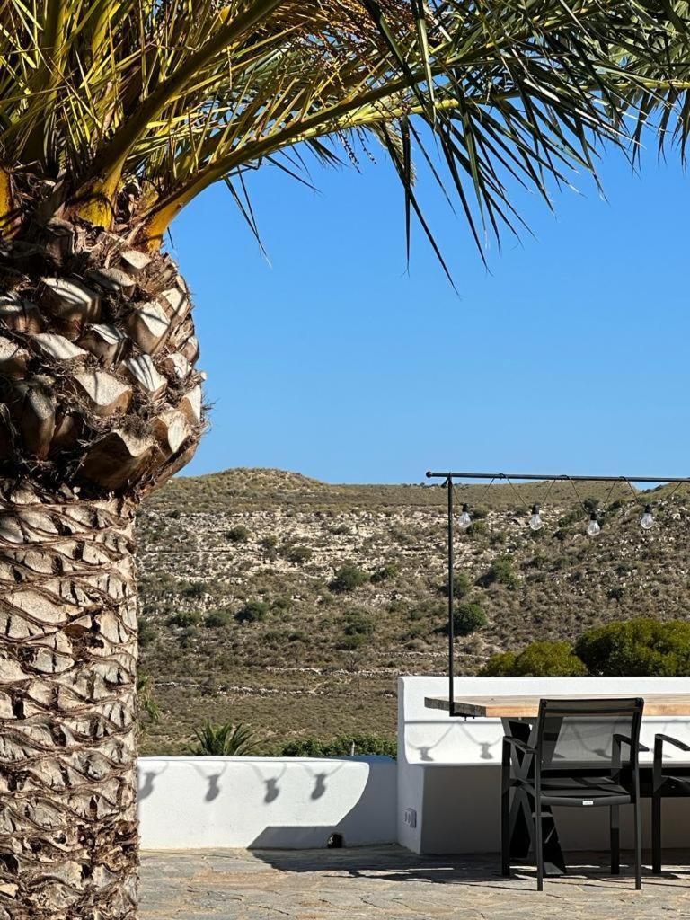 Palmitos Agua Amarga (Almeria)