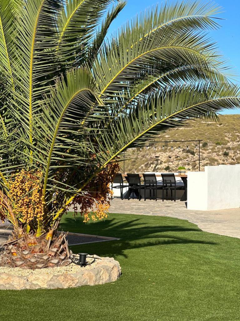 Villa Palmitos