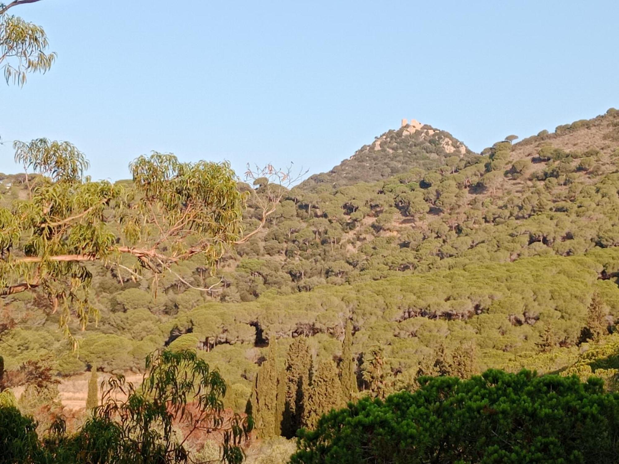 Xanascat Cabrera de Mar