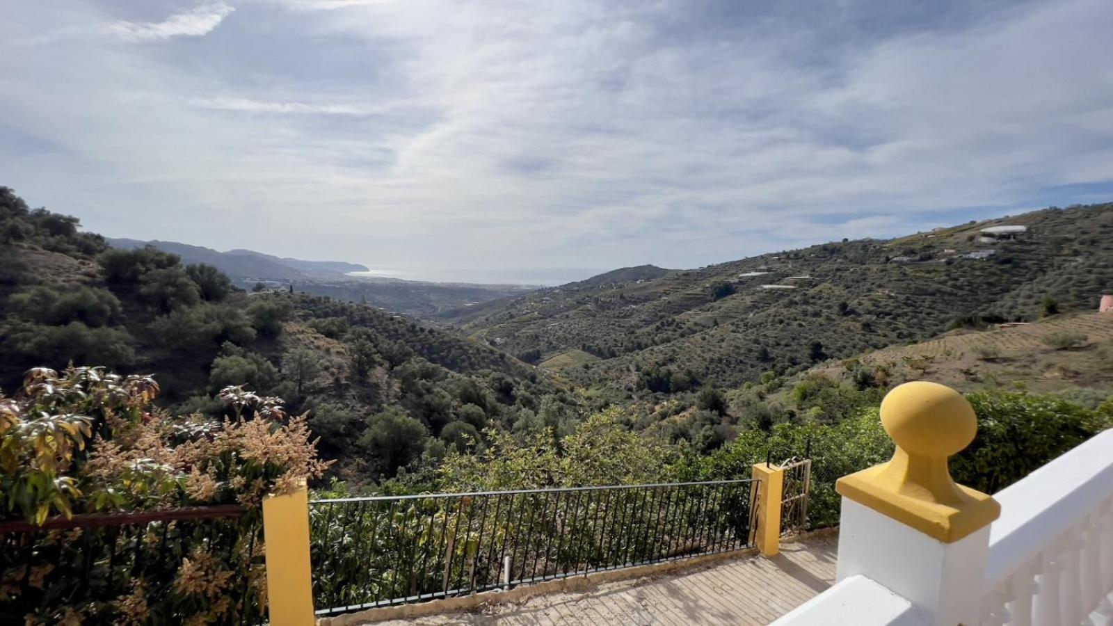 Paco At * Torrox