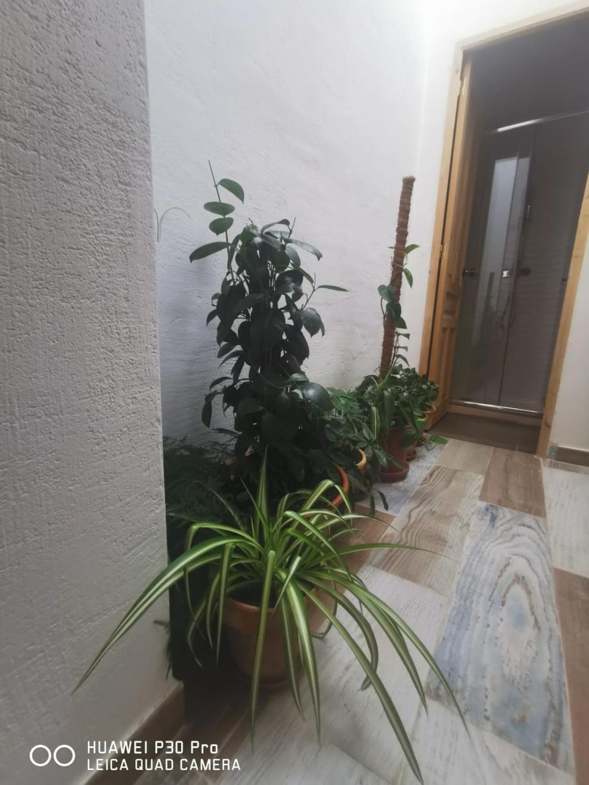 Cassa Beata En La Colina Habitación en casa particular