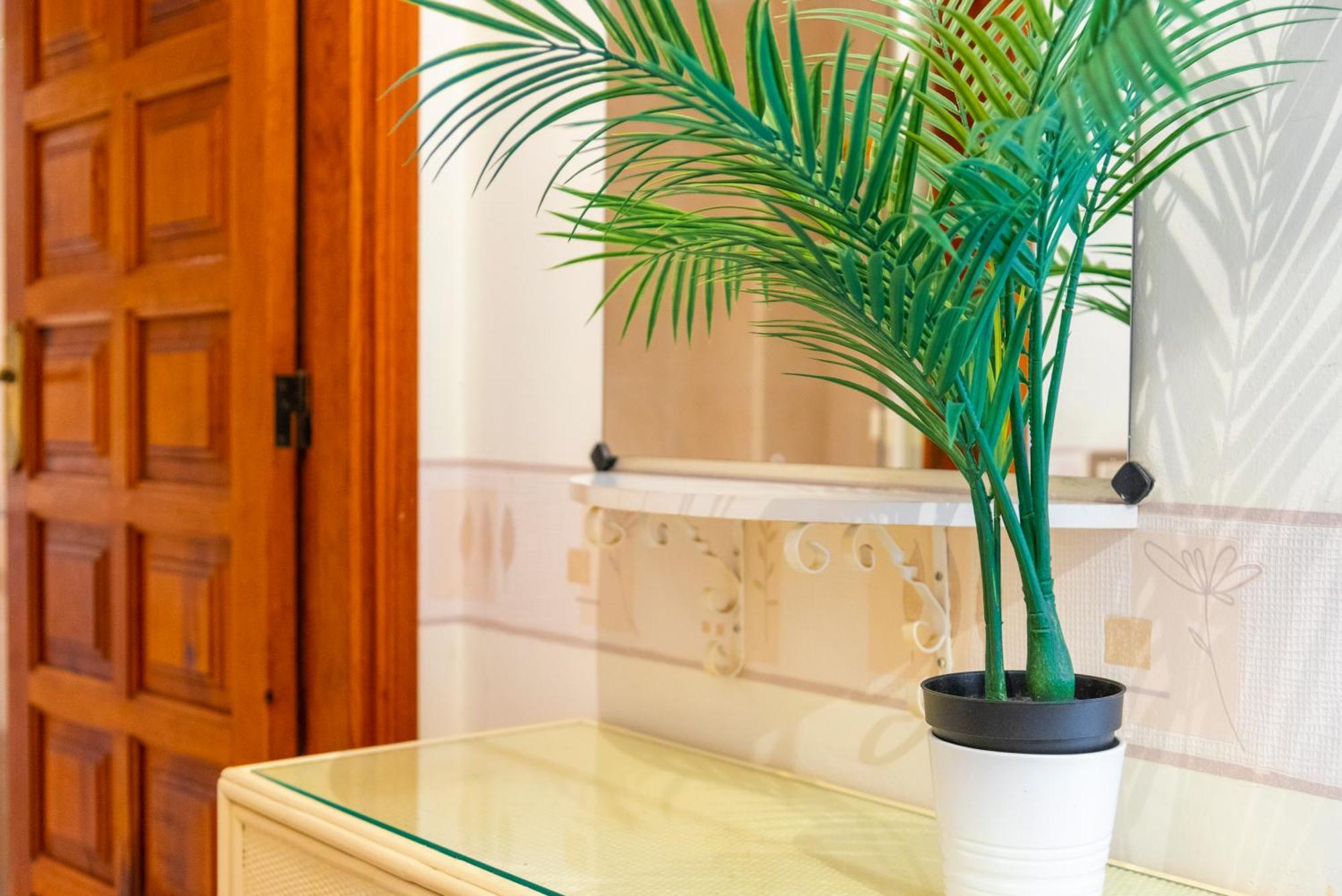Apartment Sunny Oasis Getaway