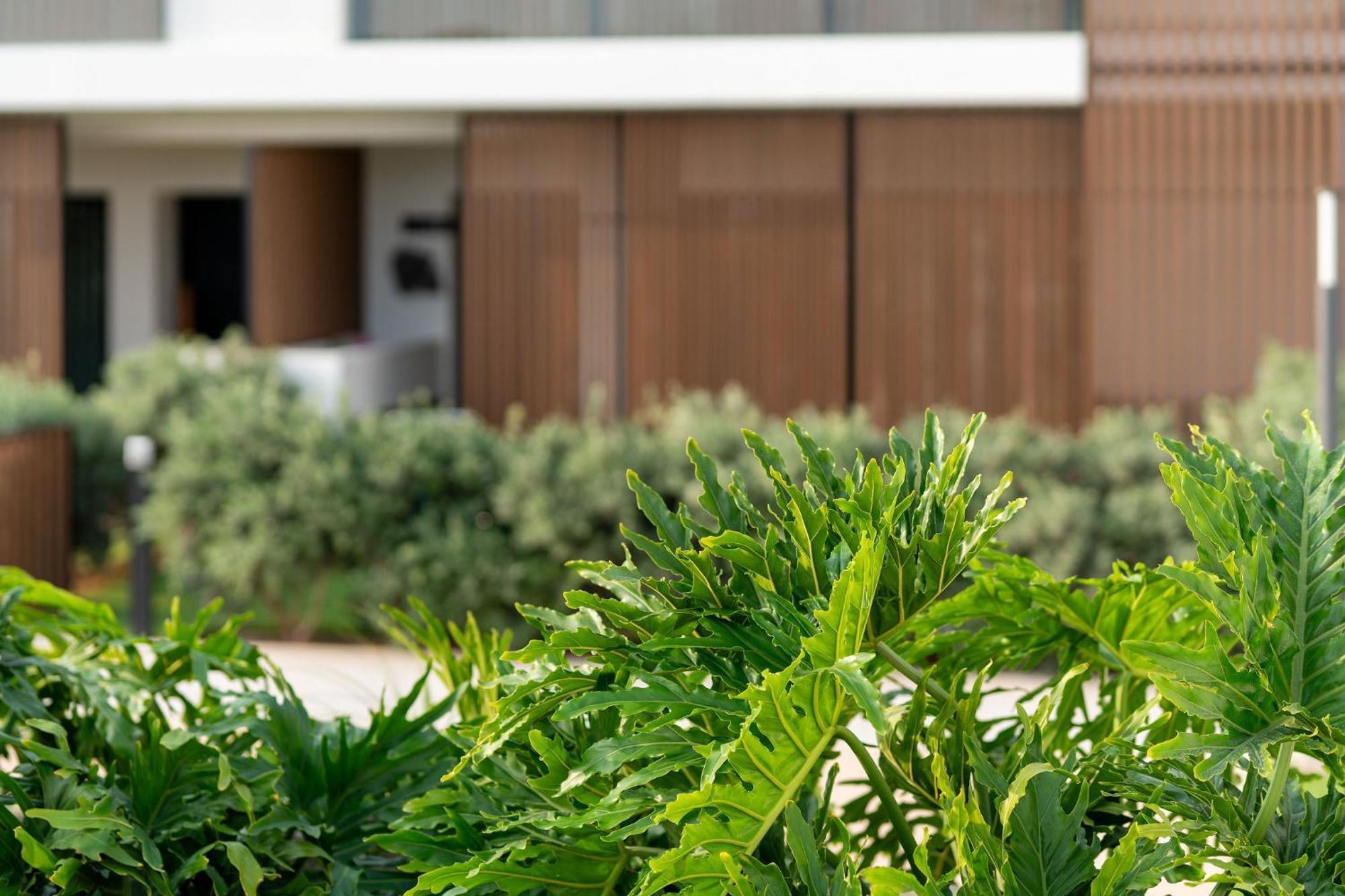 Apartamento Vivelorural Agaete Great Garden & Pool