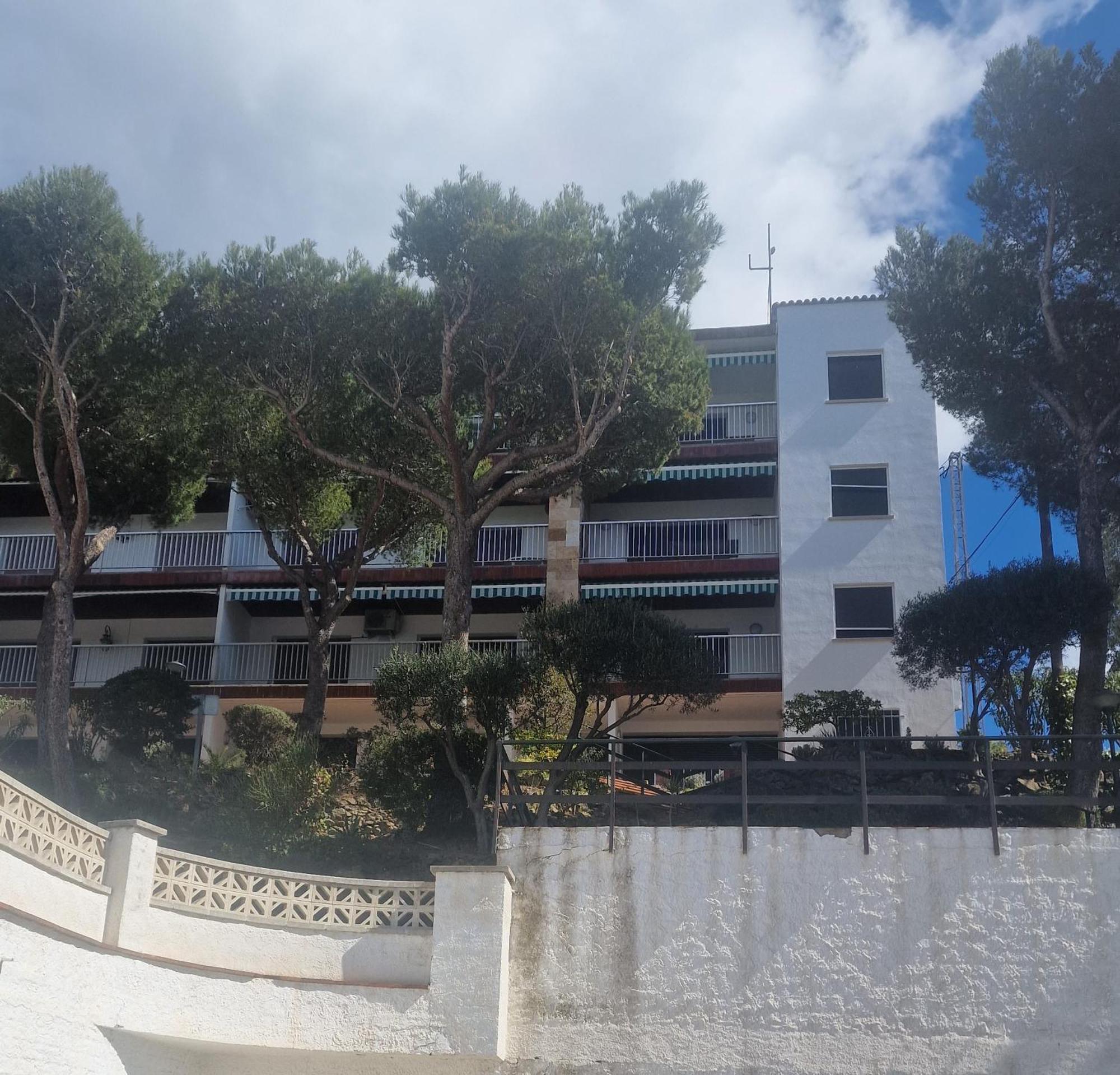 Apartamento Bernie Rosas
