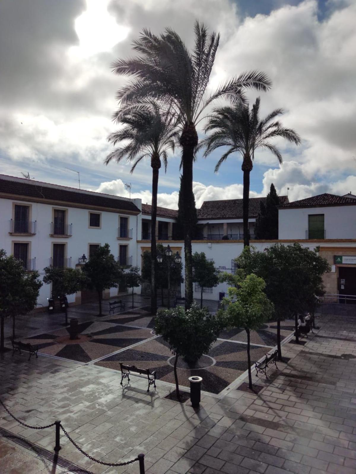 Apartment El Sueno Del Califa By Guimar Cordoba