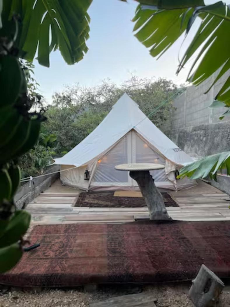 Campo de lujo Yurt In Avocado Garden Güímar