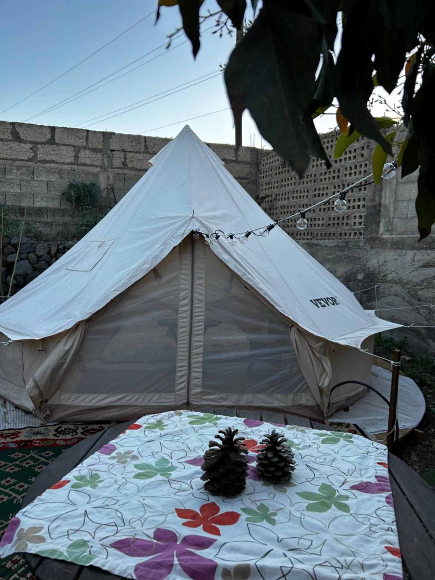 Campo de lujo Yurt In Avocado Garden