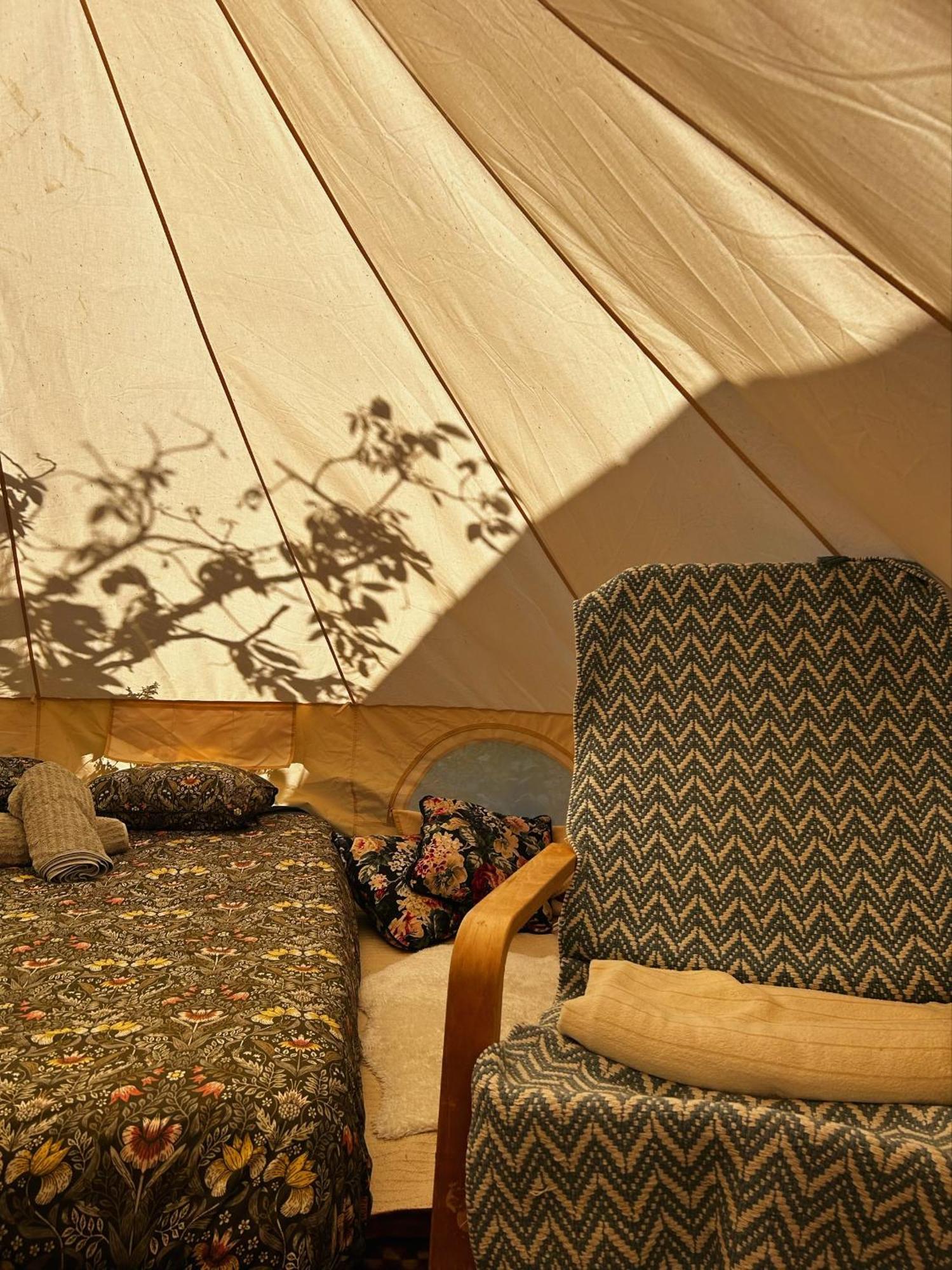 Yurt In Avocado Garden Campo de lujo Güímar
