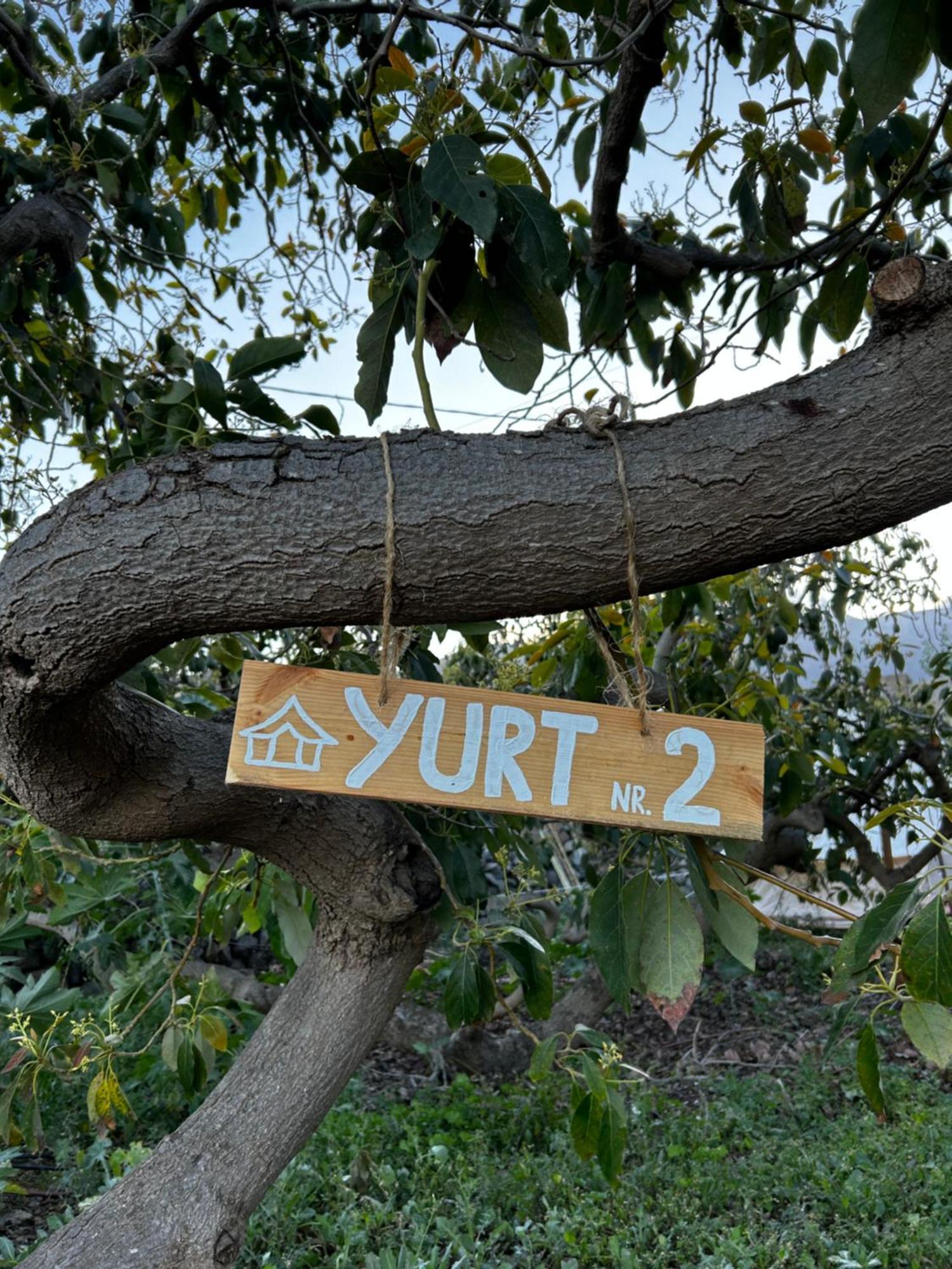 Yurt In Avocado Garden * Güímar