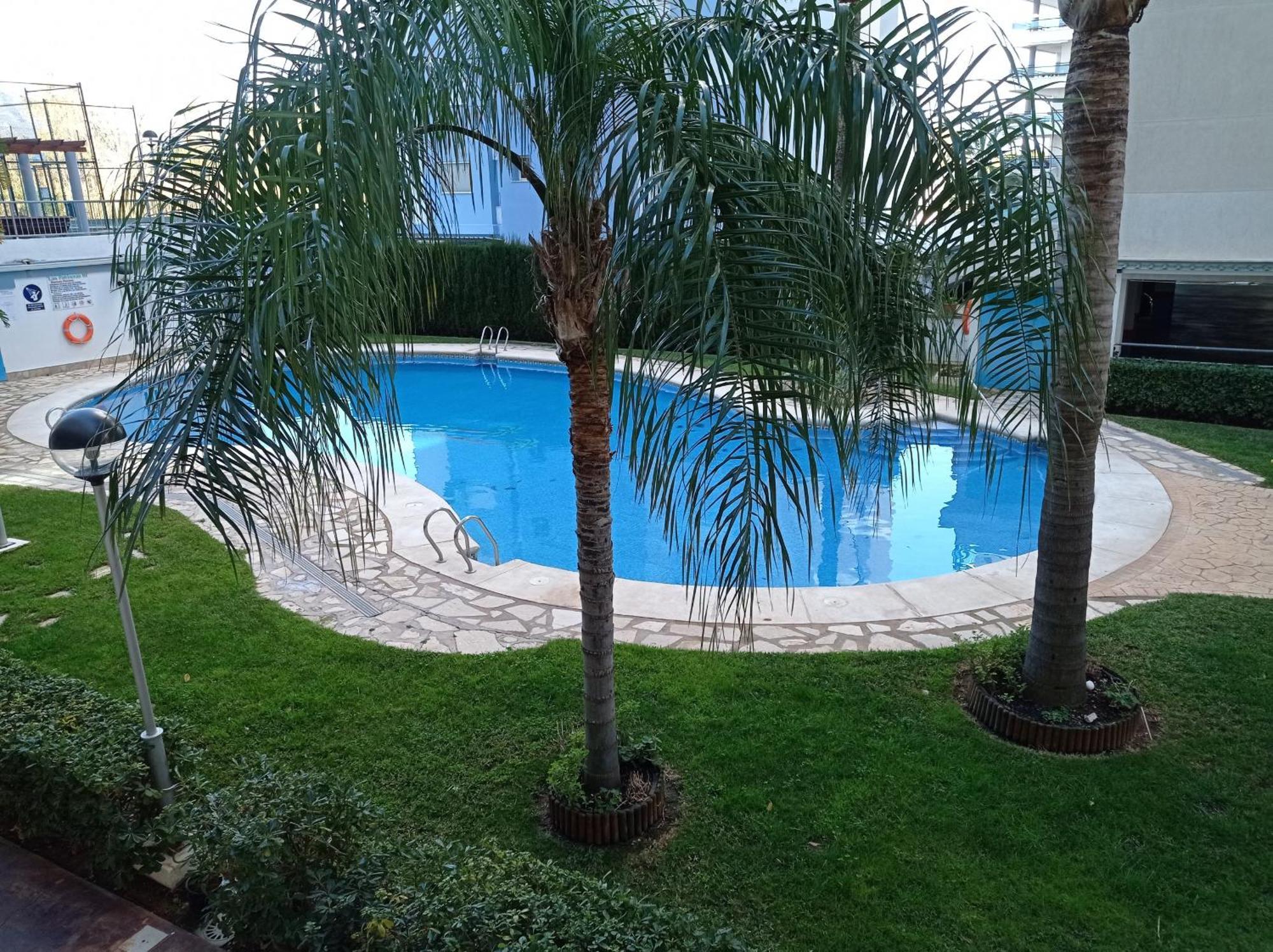 Palmeras Iii