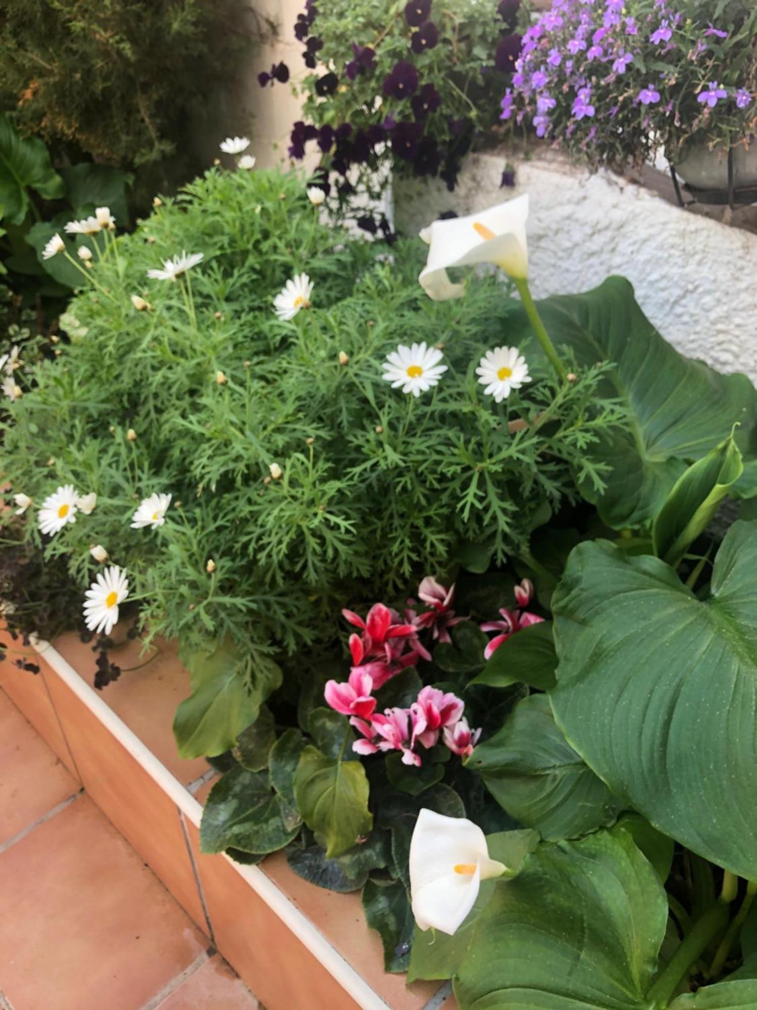 Apartment Albiretes