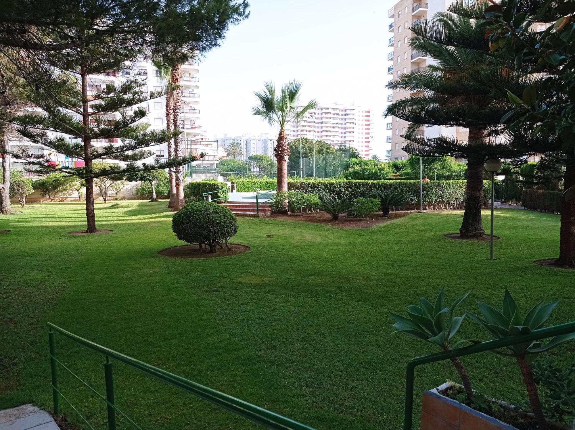 Tres Delfines Apartamento Playa de Gandía