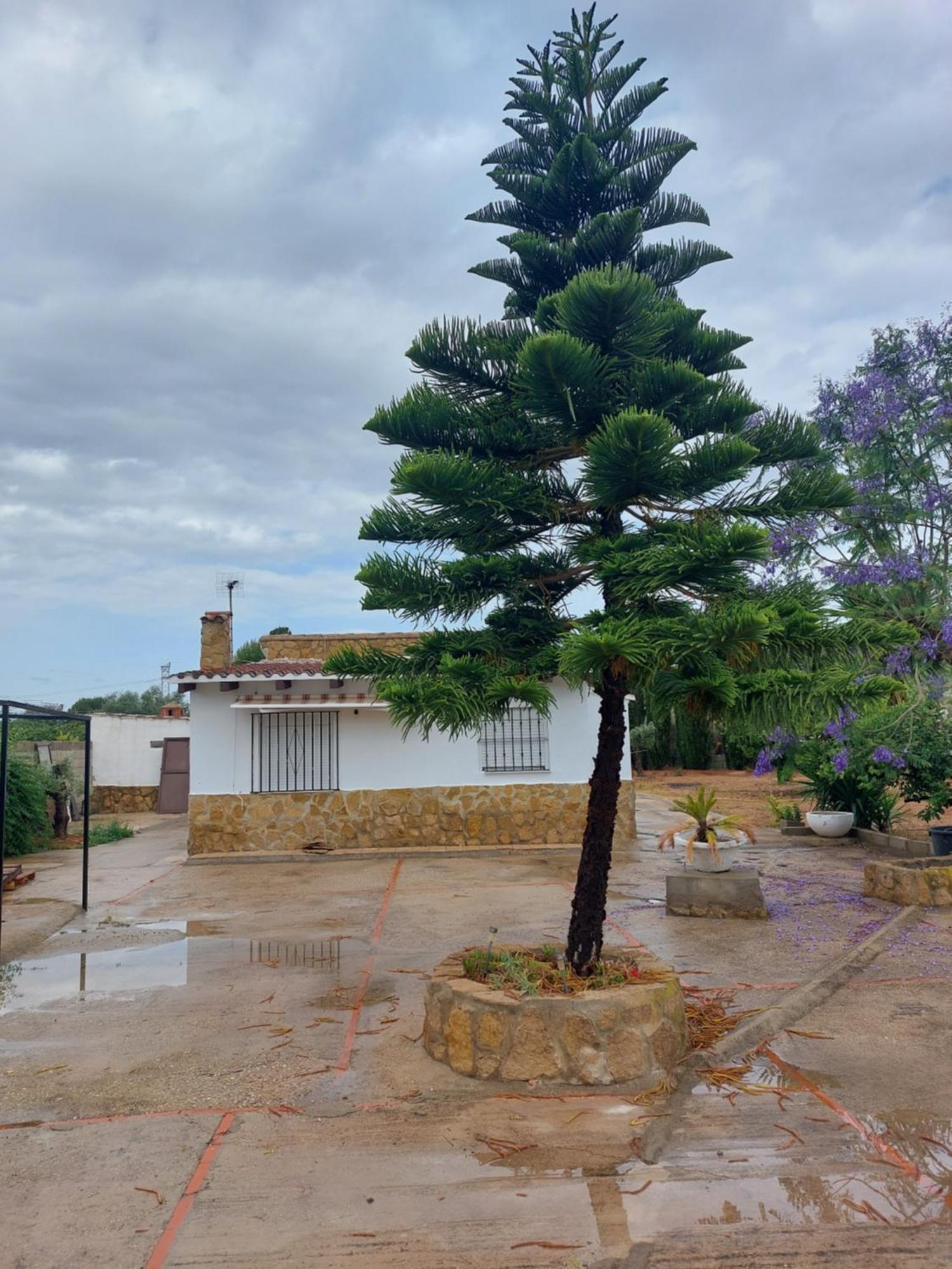 Les Berreries Сasa de vacaciones Montroi (Montroy)