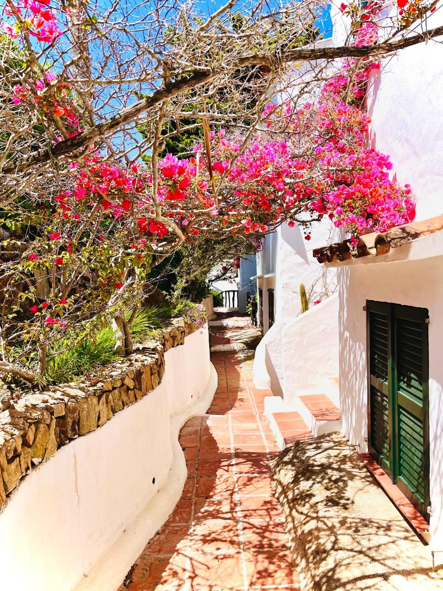 Apartment Lovely Menorca, Amazing Sea Views And Sunsets.