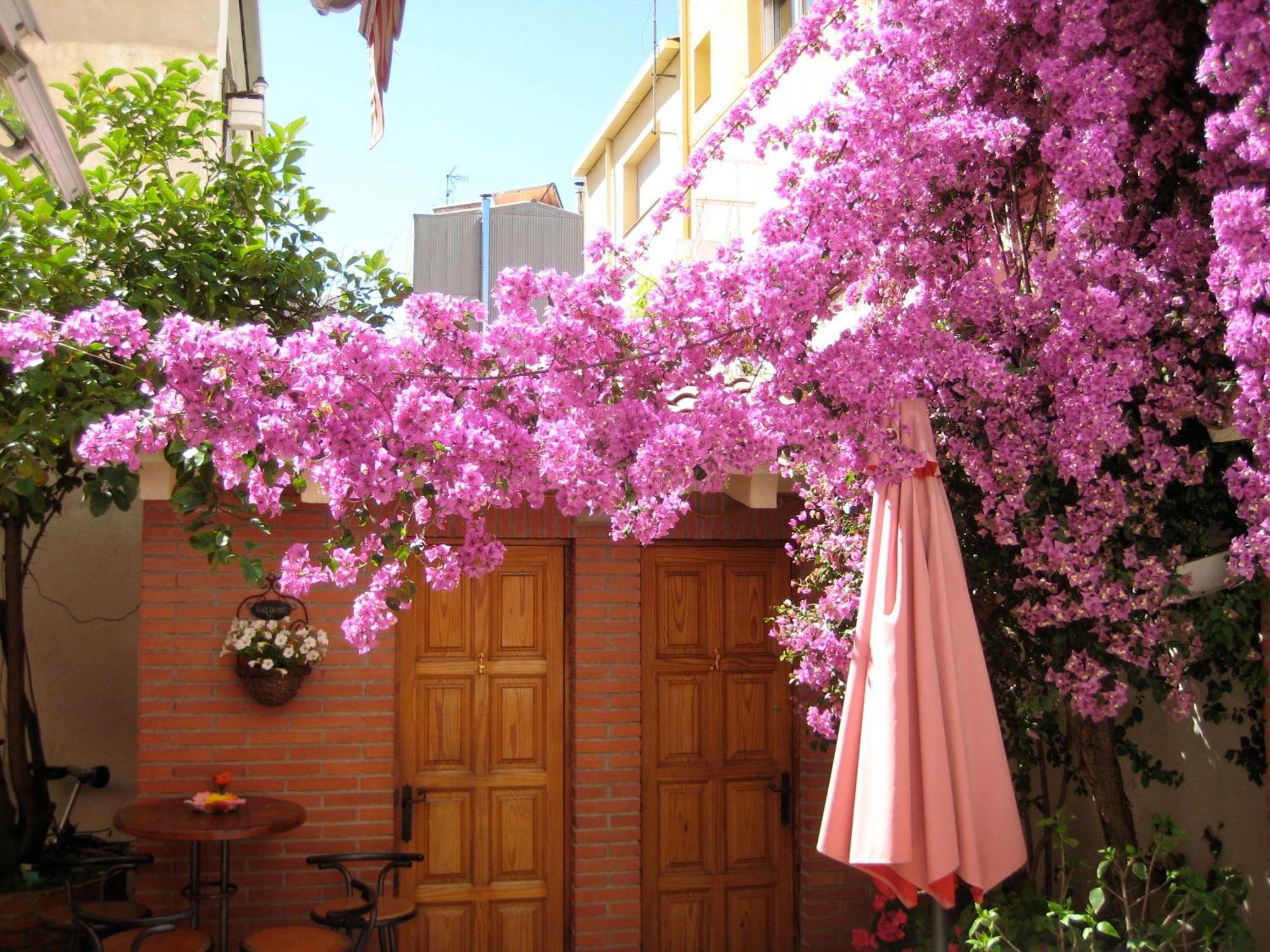 Pensión Casa Austria 3*