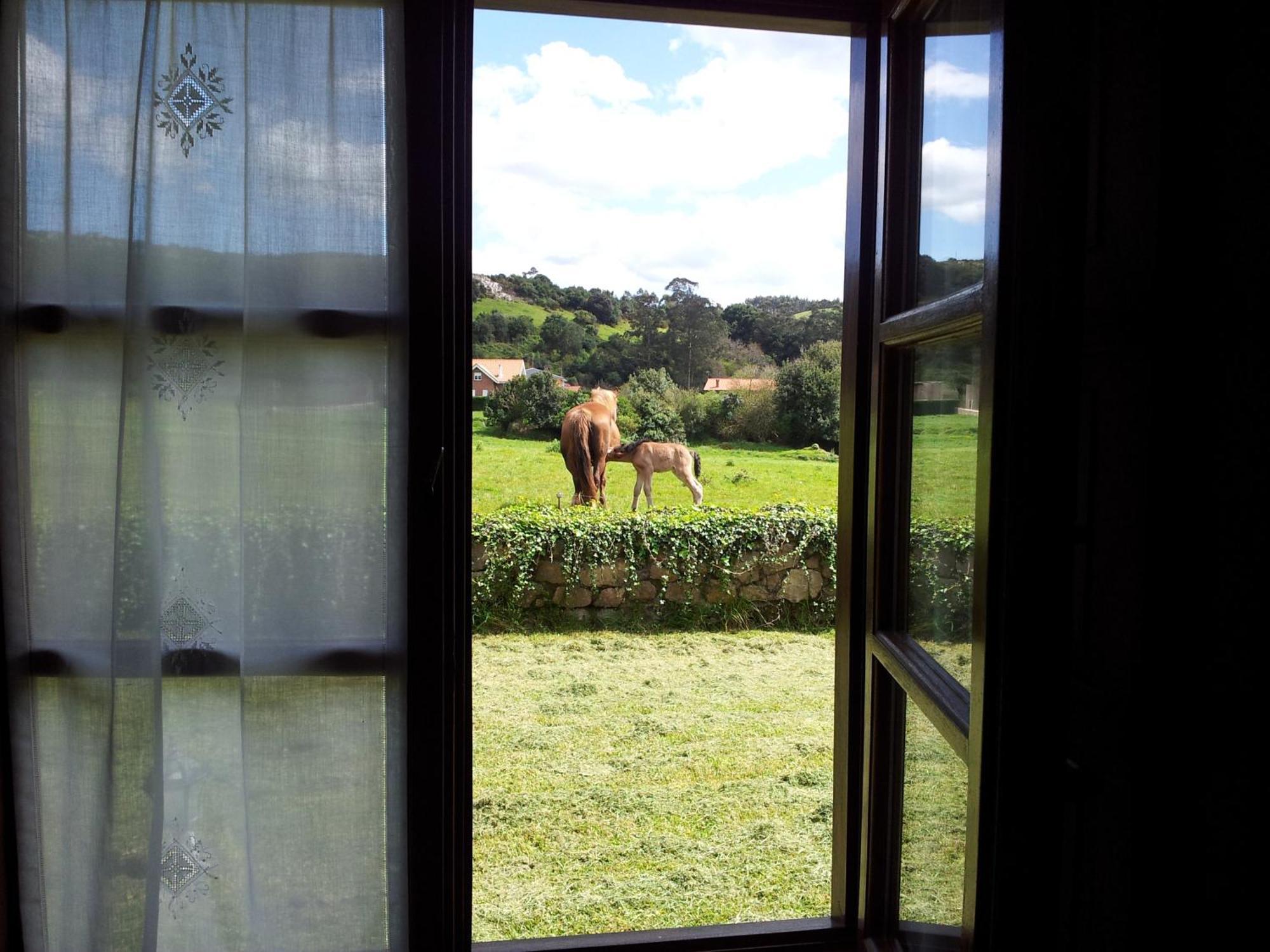 Casa rural Posada La Roblera