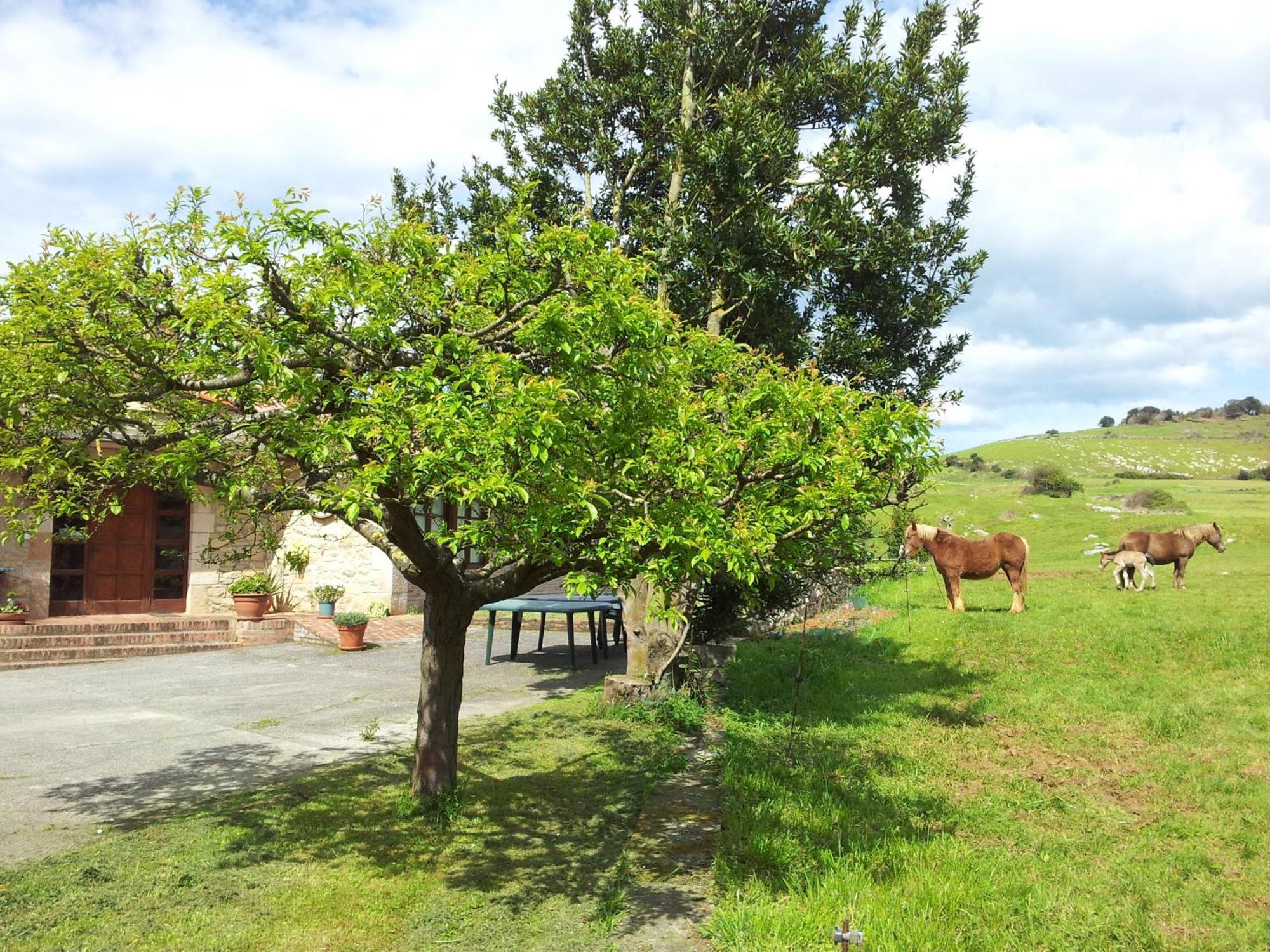 Posada La Roblera Orena