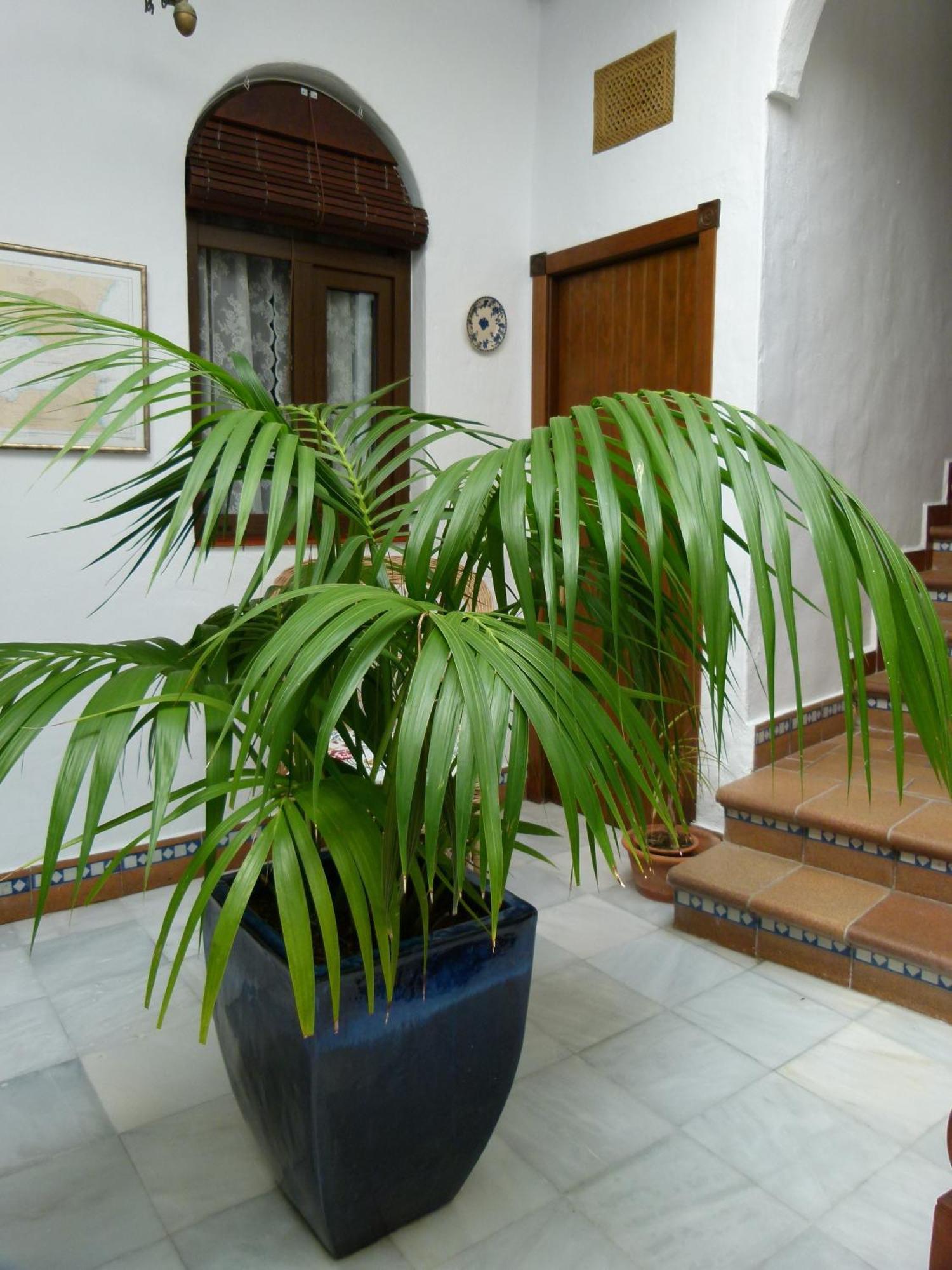 Pensión Santa Catalina *