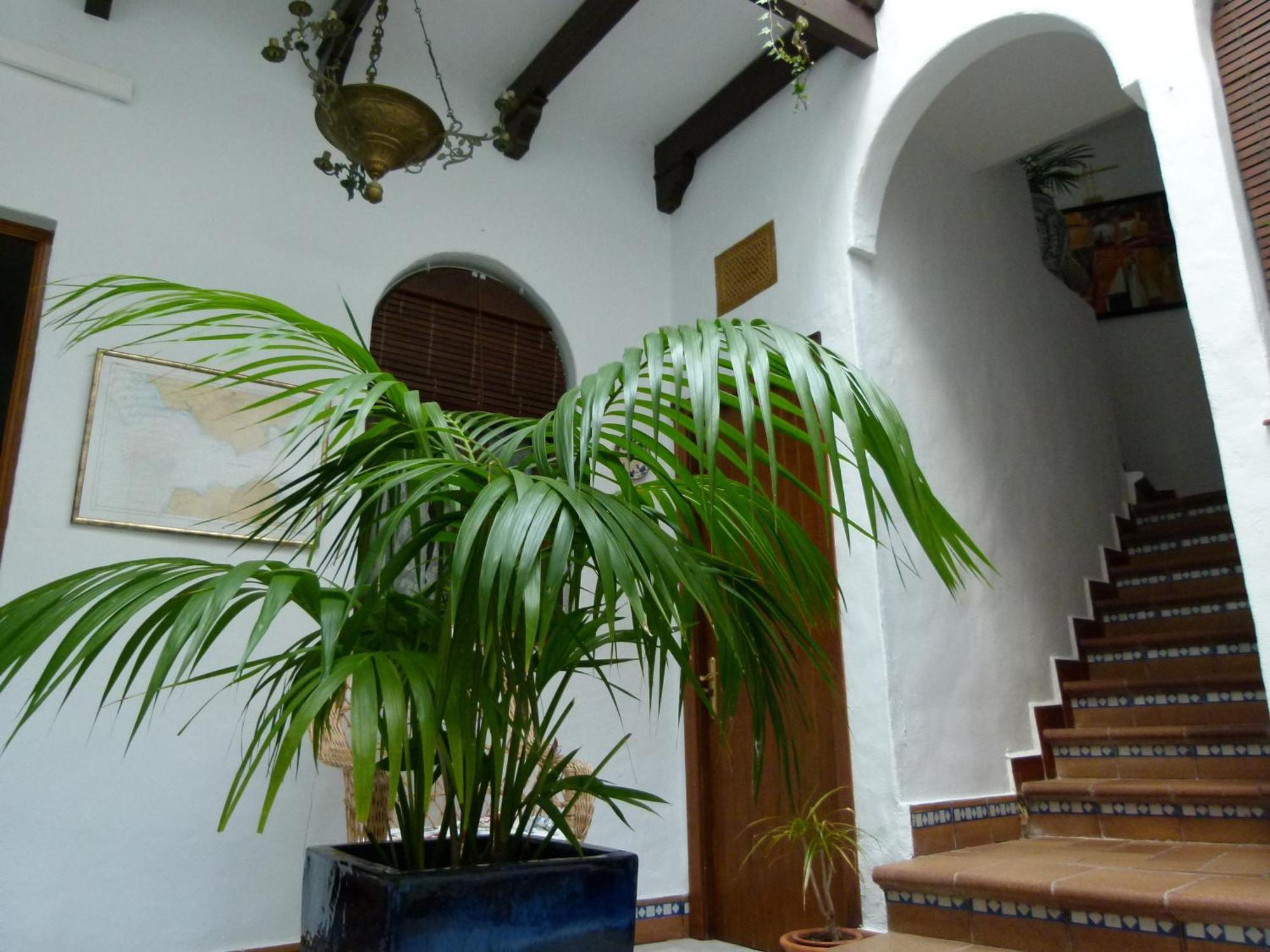 Santa Catalina Conil De La Frontera