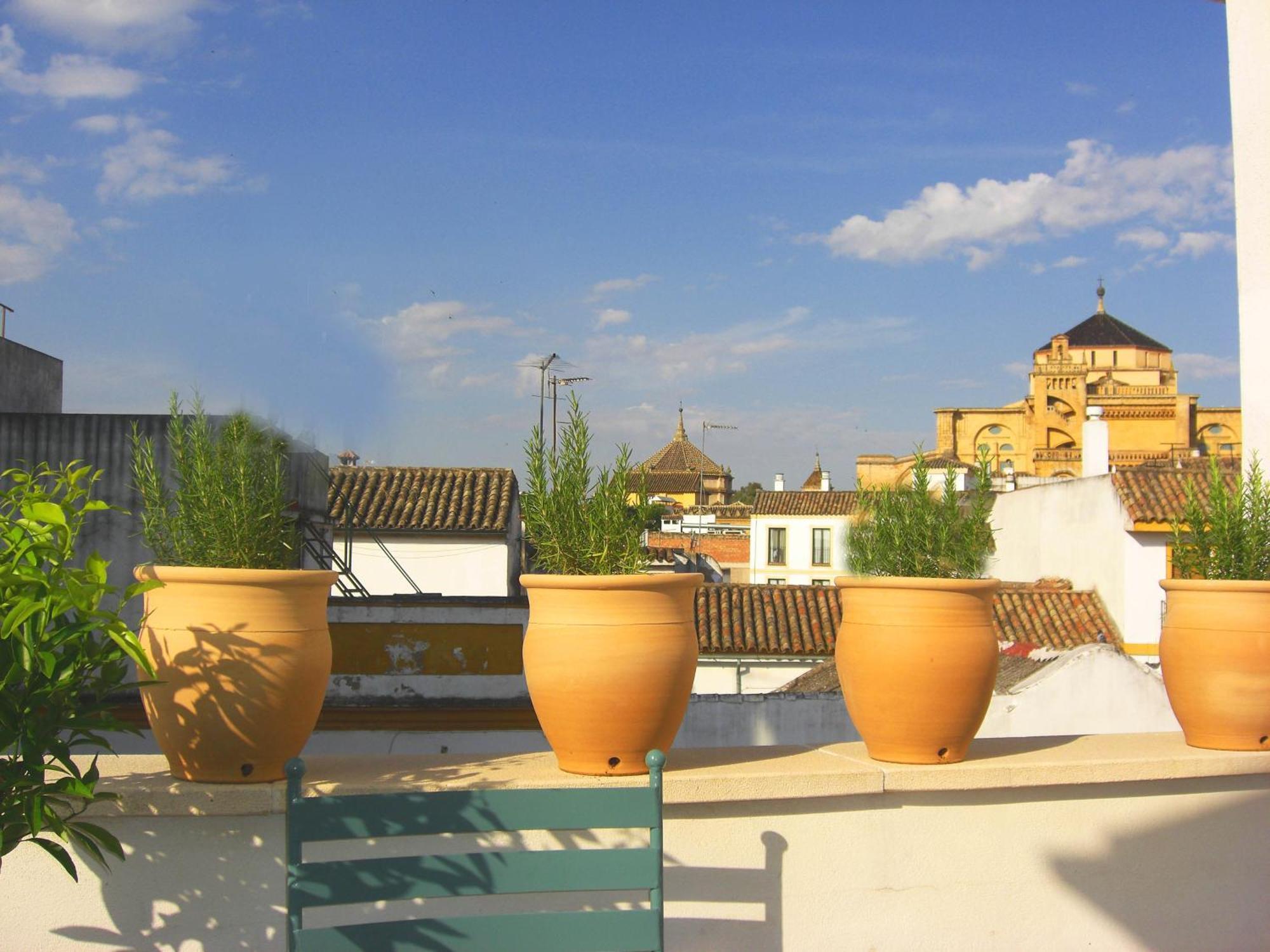 Patios De La Judería Córdoba