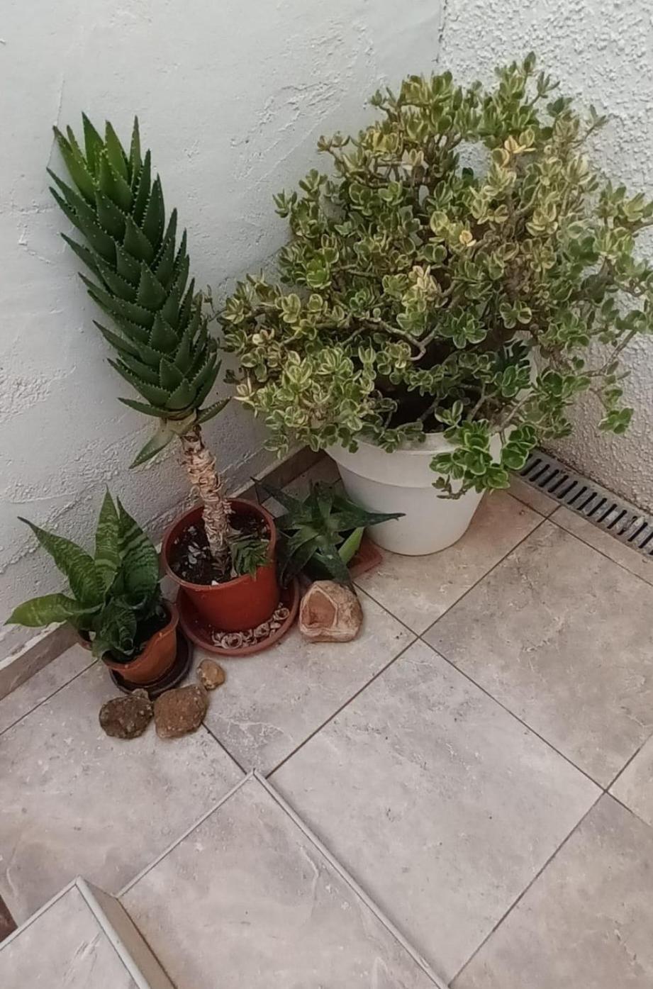 Apartamento Casa Oliva, La Florida