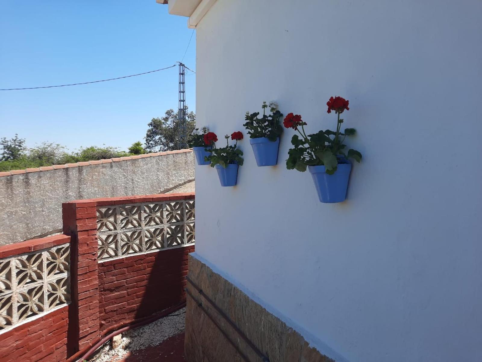 Bed & Breakfast Sueno De Vida