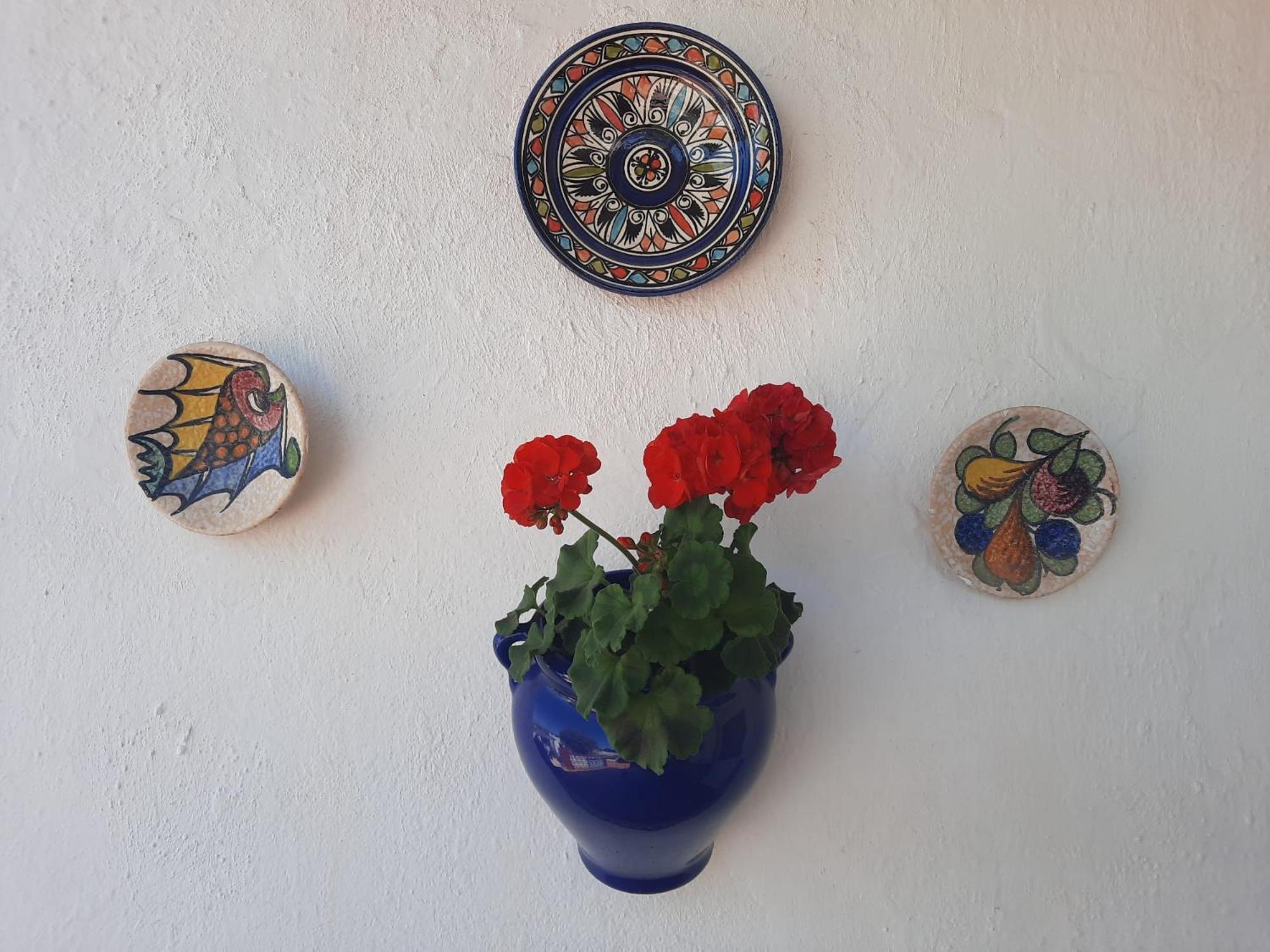 Bed & Breakfast Sueno De Vida