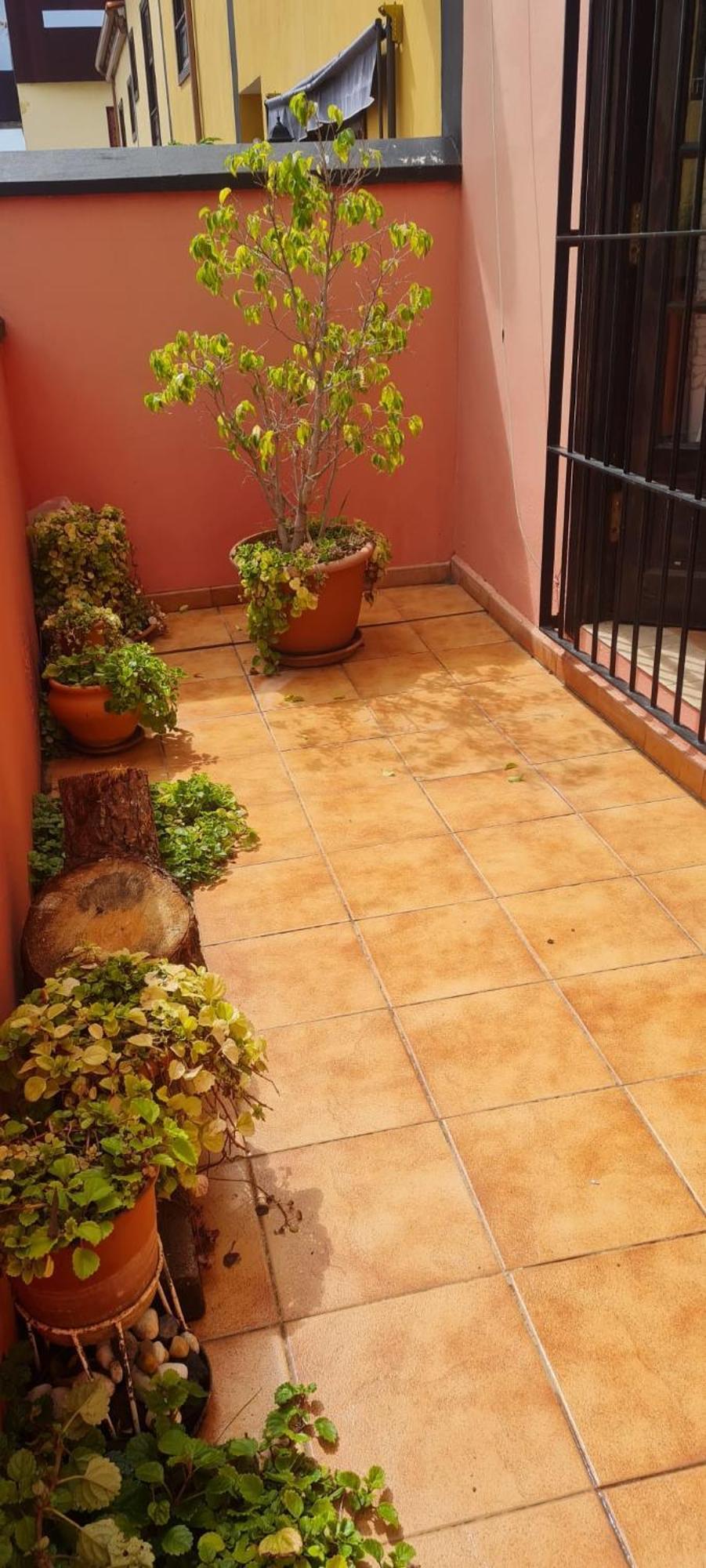 Holiday home Mgrahamhouse Tacoronte
