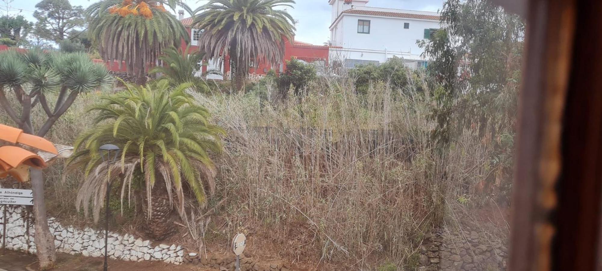 Holiday home Mgrahamhouse Tacoronte