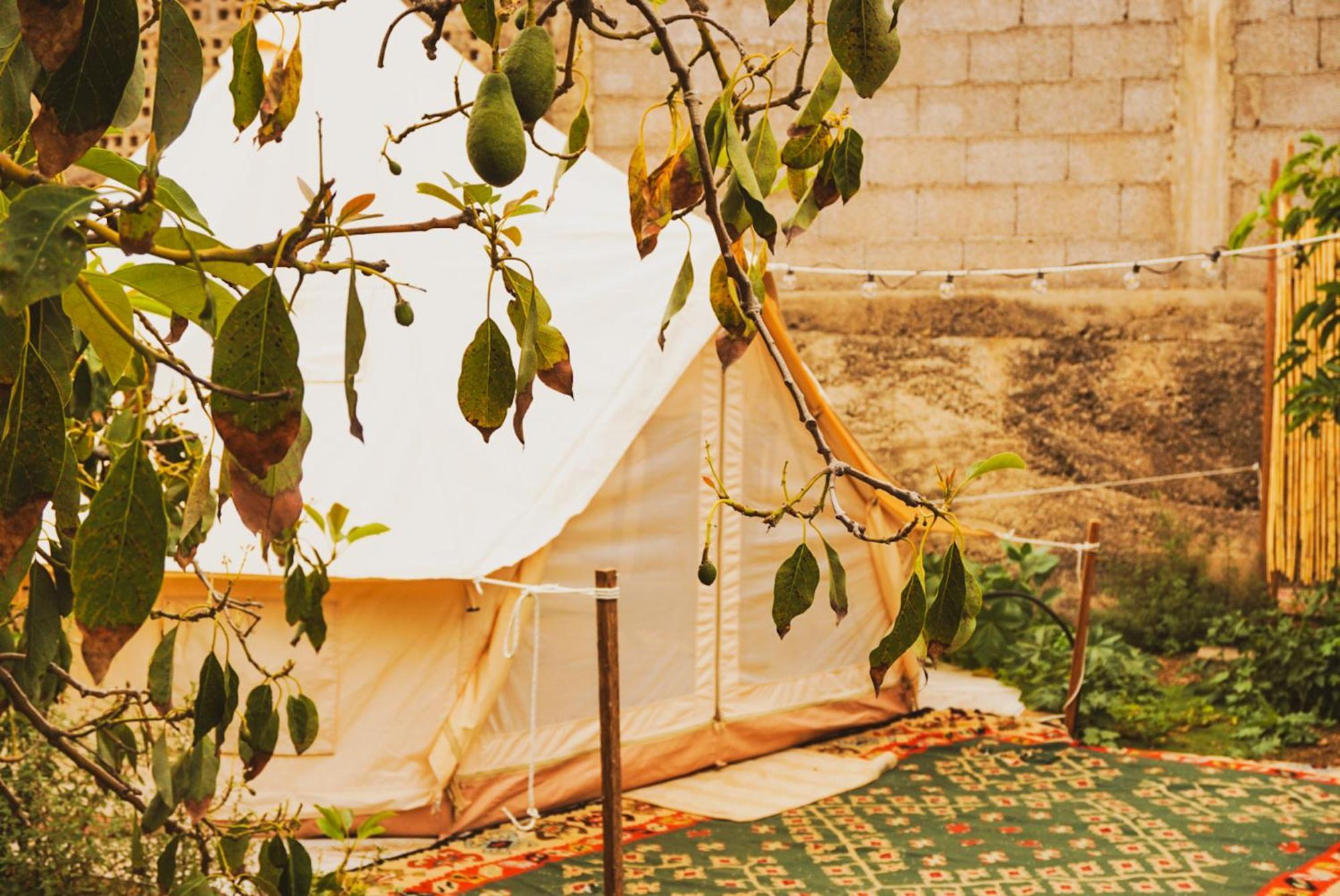Campo de lujo Yurt In Avocado Garden *