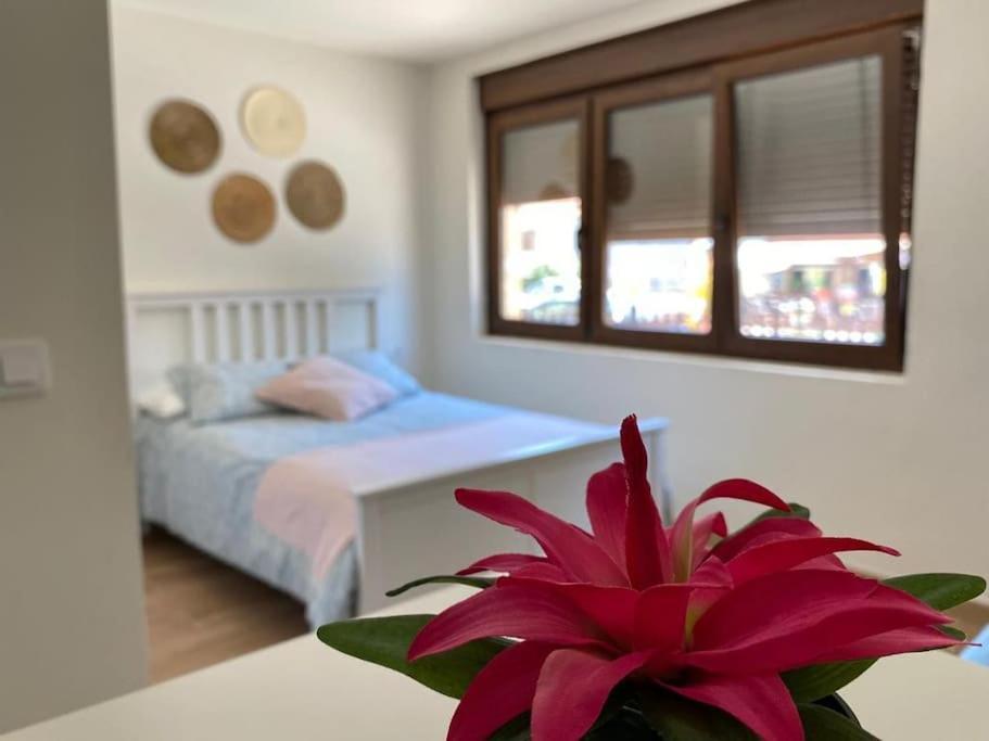 Apartamento La Casa Del Arbol Corcubión