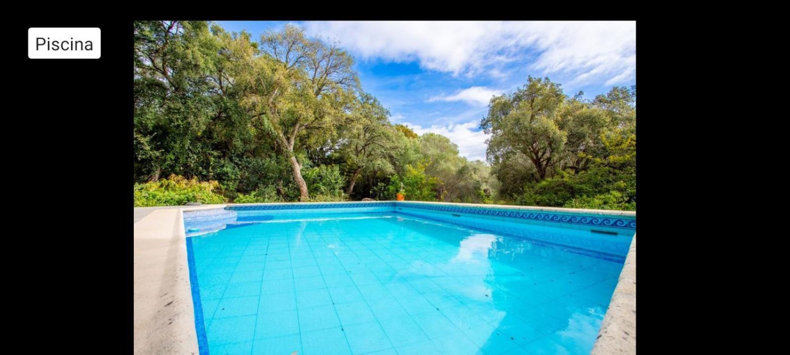 - En Plena Naturaleza - Abril Homestay *