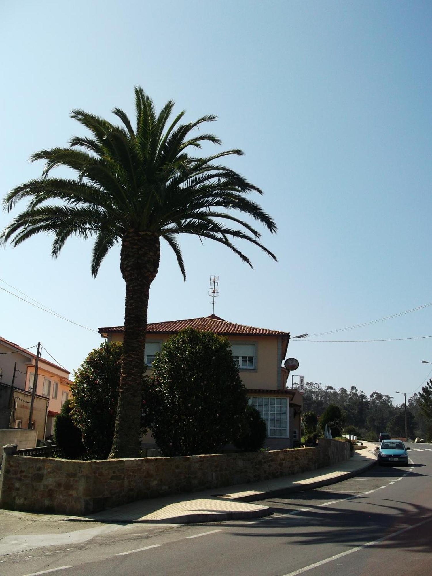 Guest house Pereirina Cee