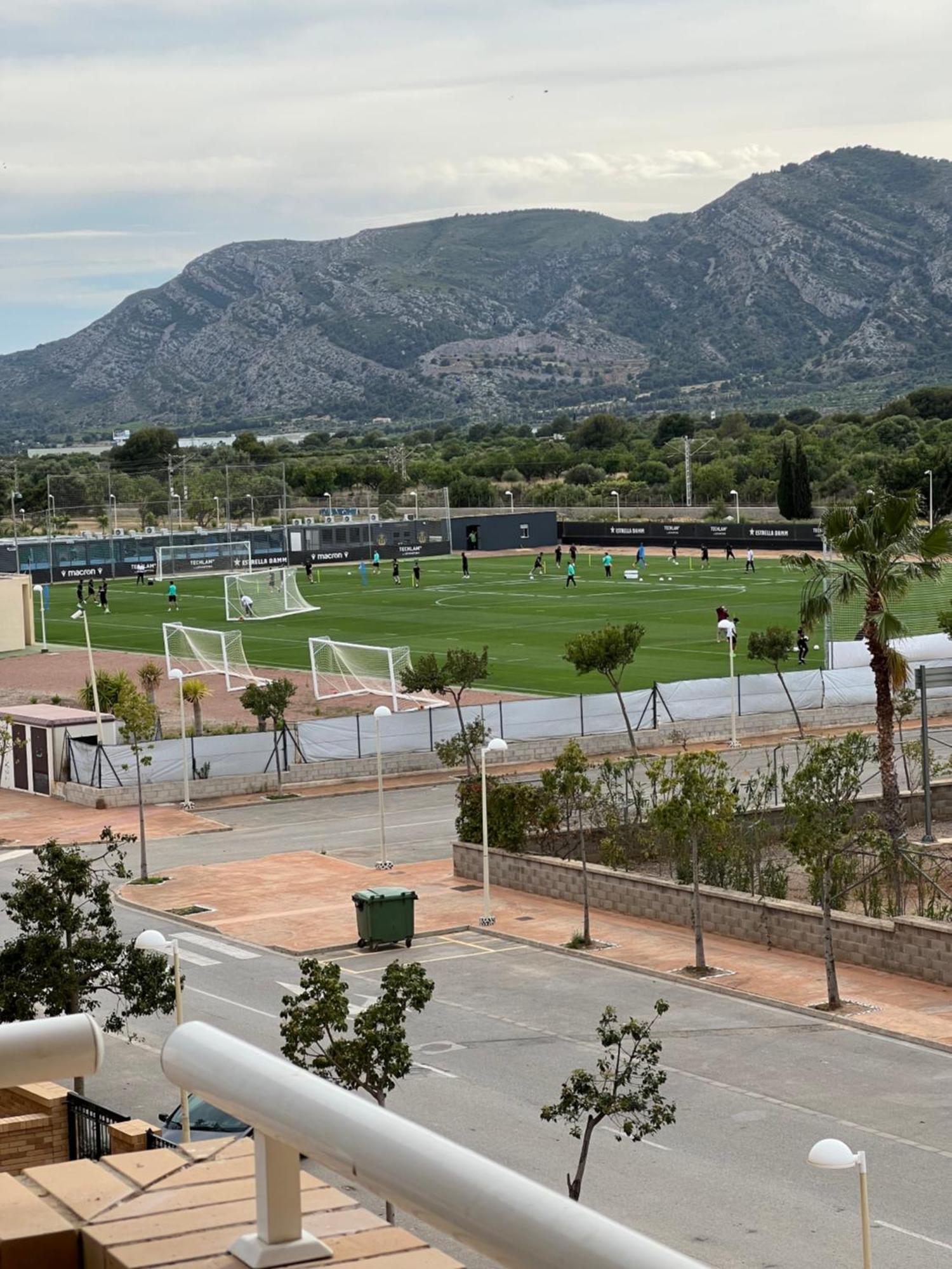 Oropesa Marinador