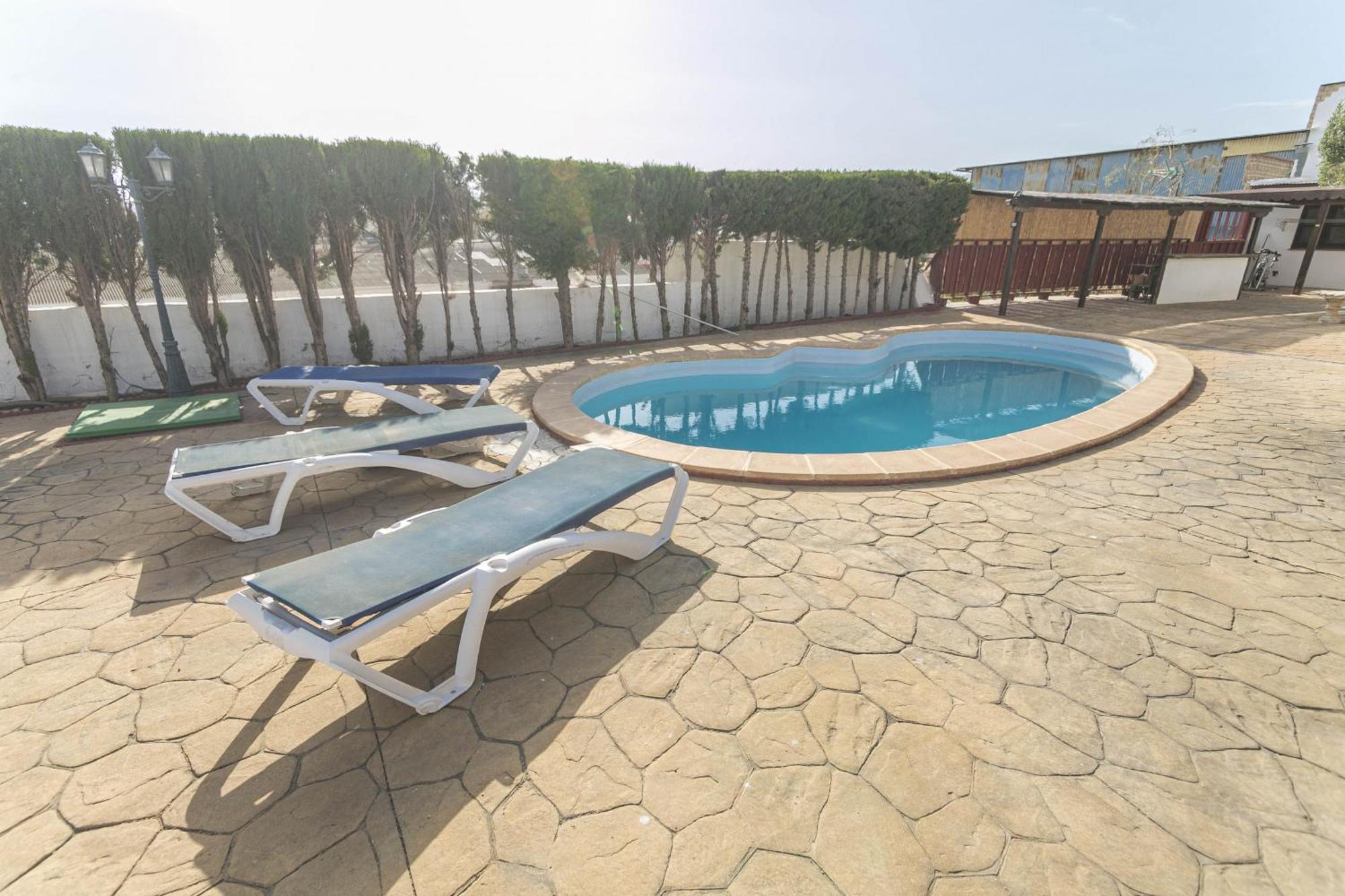 Canovas - Leones Nerja