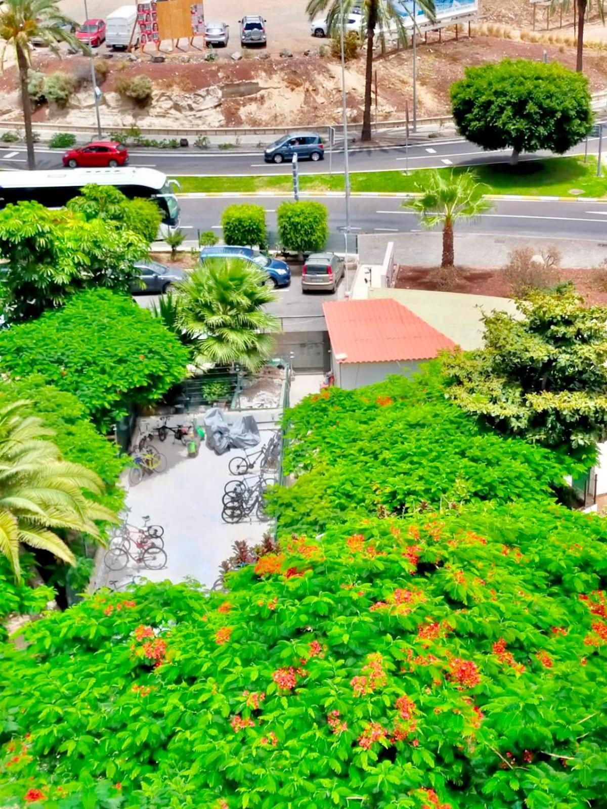 Apartamento Sweet Ocean View
